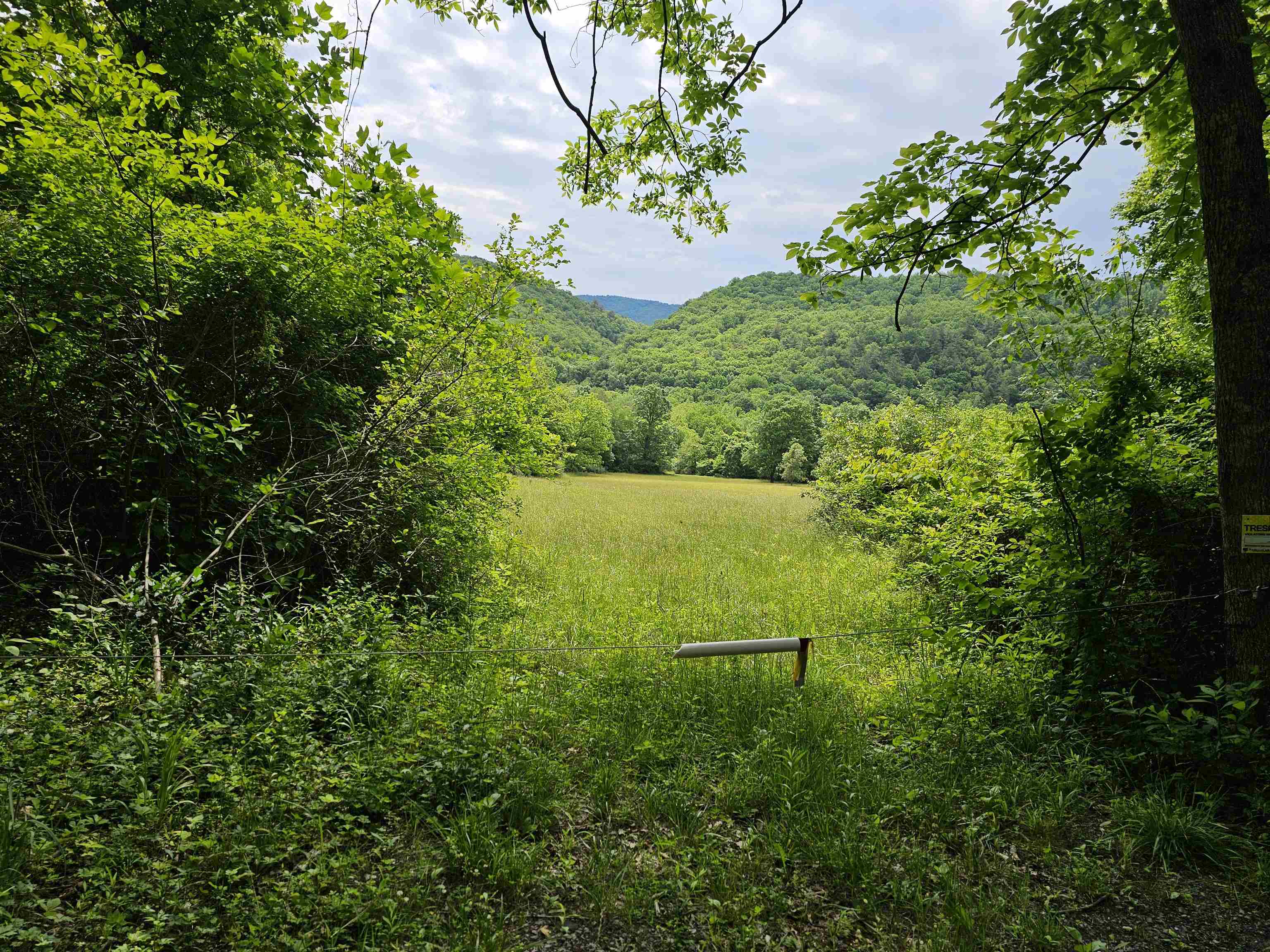 2105 COLES MOUNTAIN RD, HOT SPRINGS, Virginia 24445, 1 Bedroom Bedrooms, ,1 BathroomBathrooms,Residential,14,2105 COLES MOUNTAIN RD,678606 MLS # 678606