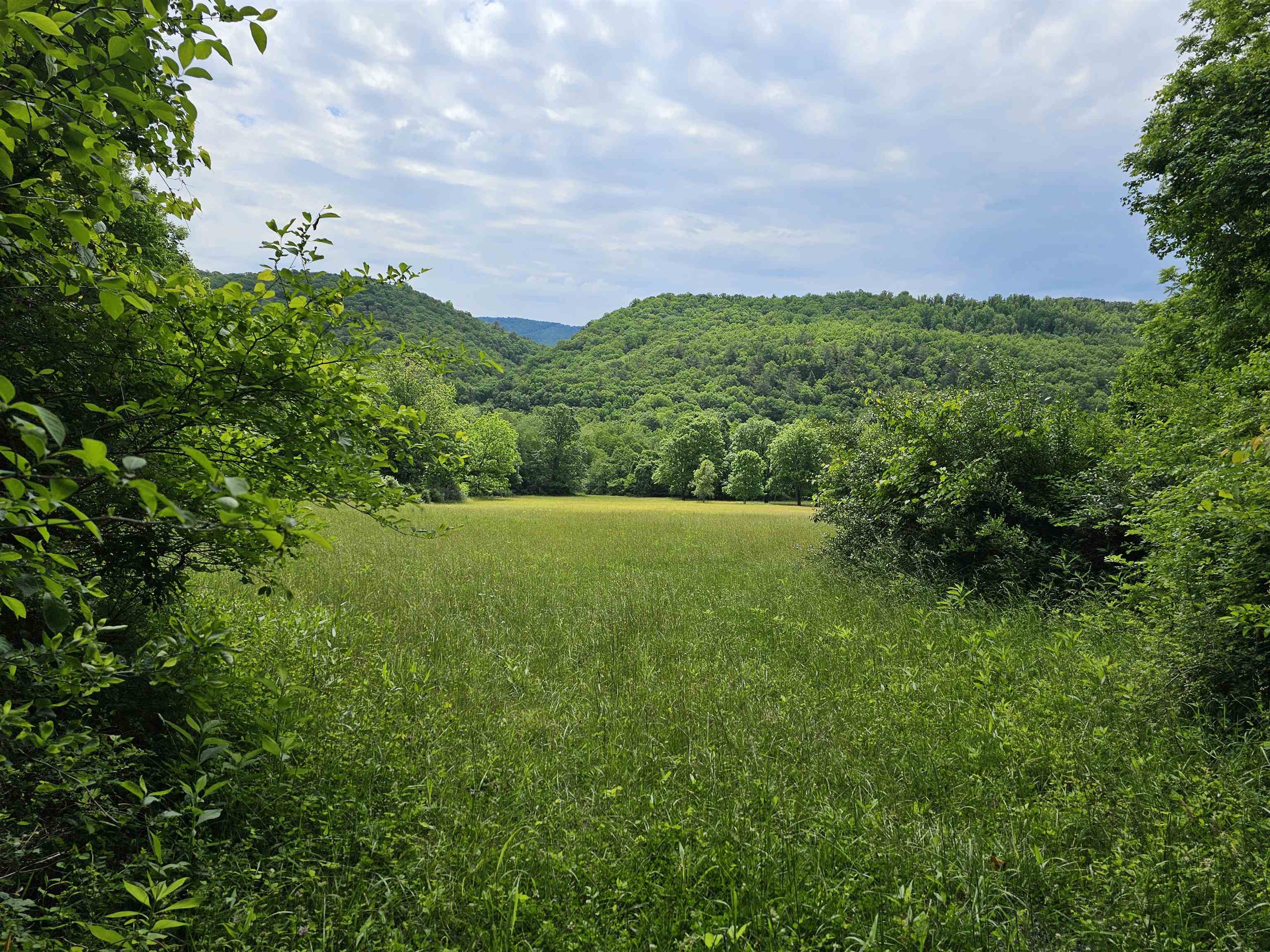 2105 COLES MOUNTAIN RD, HOT SPRINGS, Virginia 24445, 1 Bedroom Bedrooms, ,1 BathroomBathrooms,Residential,14,2105 COLES MOUNTAIN RD,678606 MLS # 678606