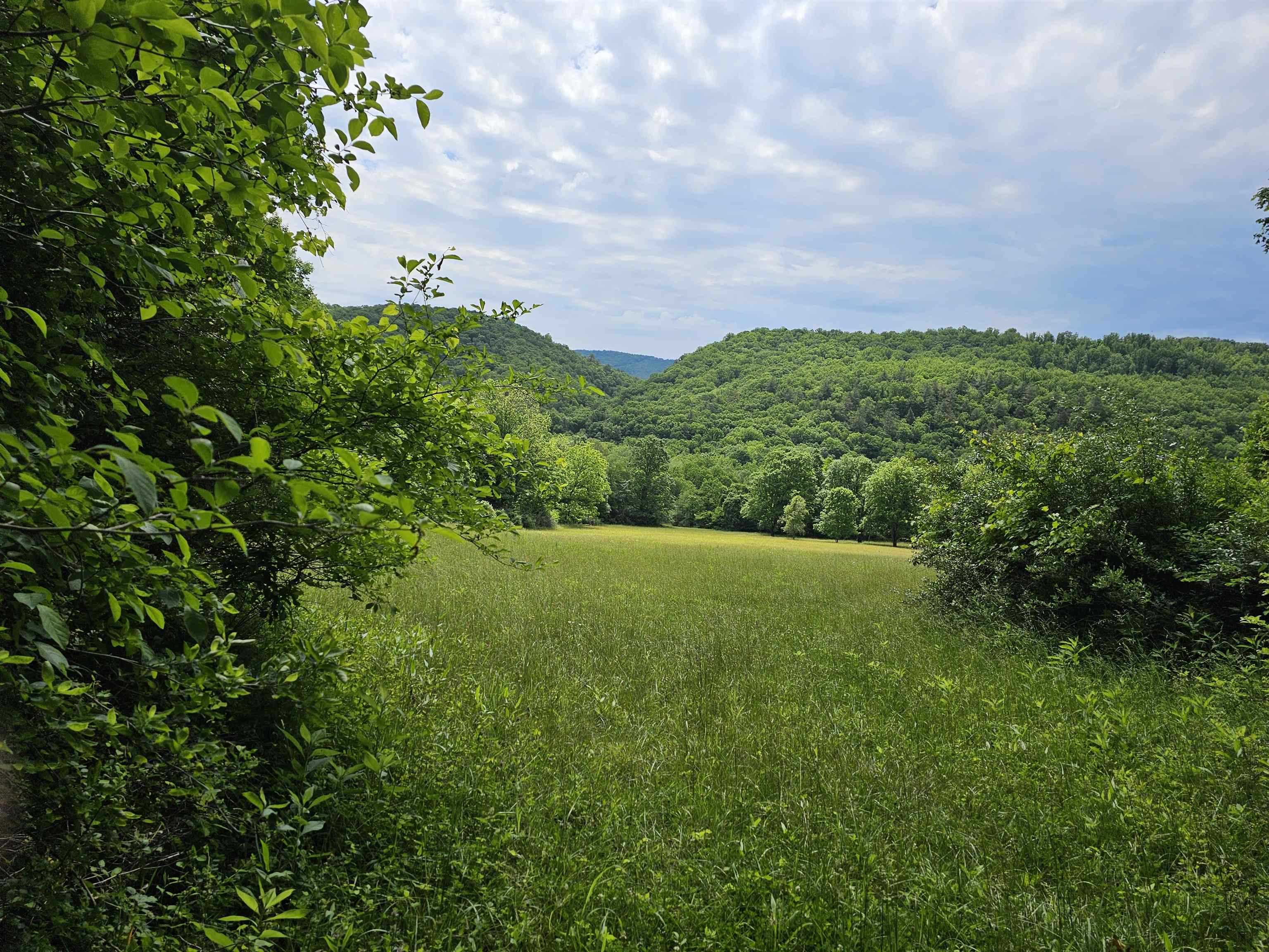 2105 COLES MOUNTAIN RD, HOT SPRINGS, Virginia 24445, 1 Bedroom Bedrooms, ,1 BathroomBathrooms,Residential,14,2105 COLES MOUNTAIN RD,678606 MLS # 678606