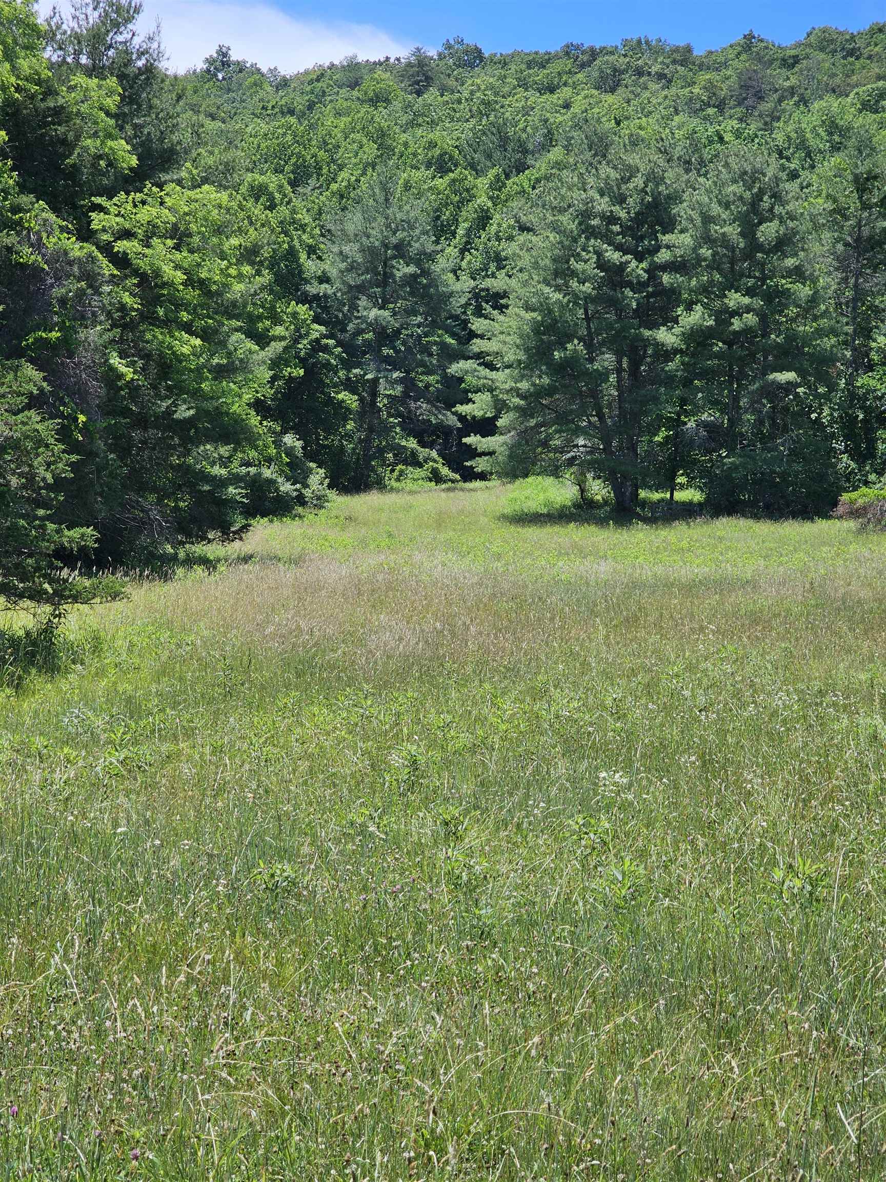 2105 COLES MOUNTAIN RD, HOT SPRINGS, Virginia 24445, 1 Bedroom Bedrooms, ,1 BathroomBathrooms,Residential,14,2105 COLES MOUNTAIN RD,678606 MLS # 678606
