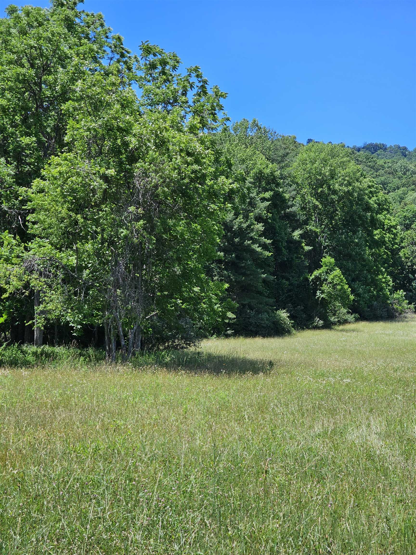 2105 COLES MOUNTAIN RD, HOT SPRINGS, Virginia 24445, 1 Bedroom Bedrooms, ,1 BathroomBathrooms,Residential,14,2105 COLES MOUNTAIN RD,678606 MLS # 678606
