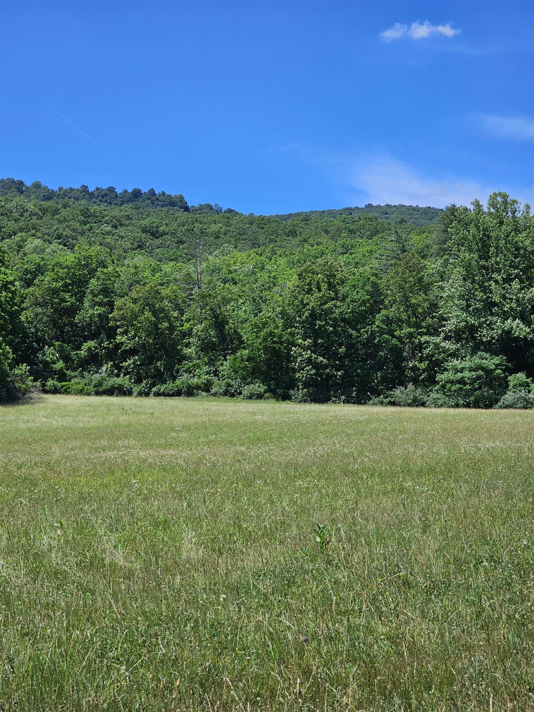 2105 COLES MOUNTAIN RD, HOT SPRINGS, Virginia 24445, 1 Bedroom Bedrooms, ,1 BathroomBathrooms,Residential,14,2105 COLES MOUNTAIN RD,678606 MLS # 678606