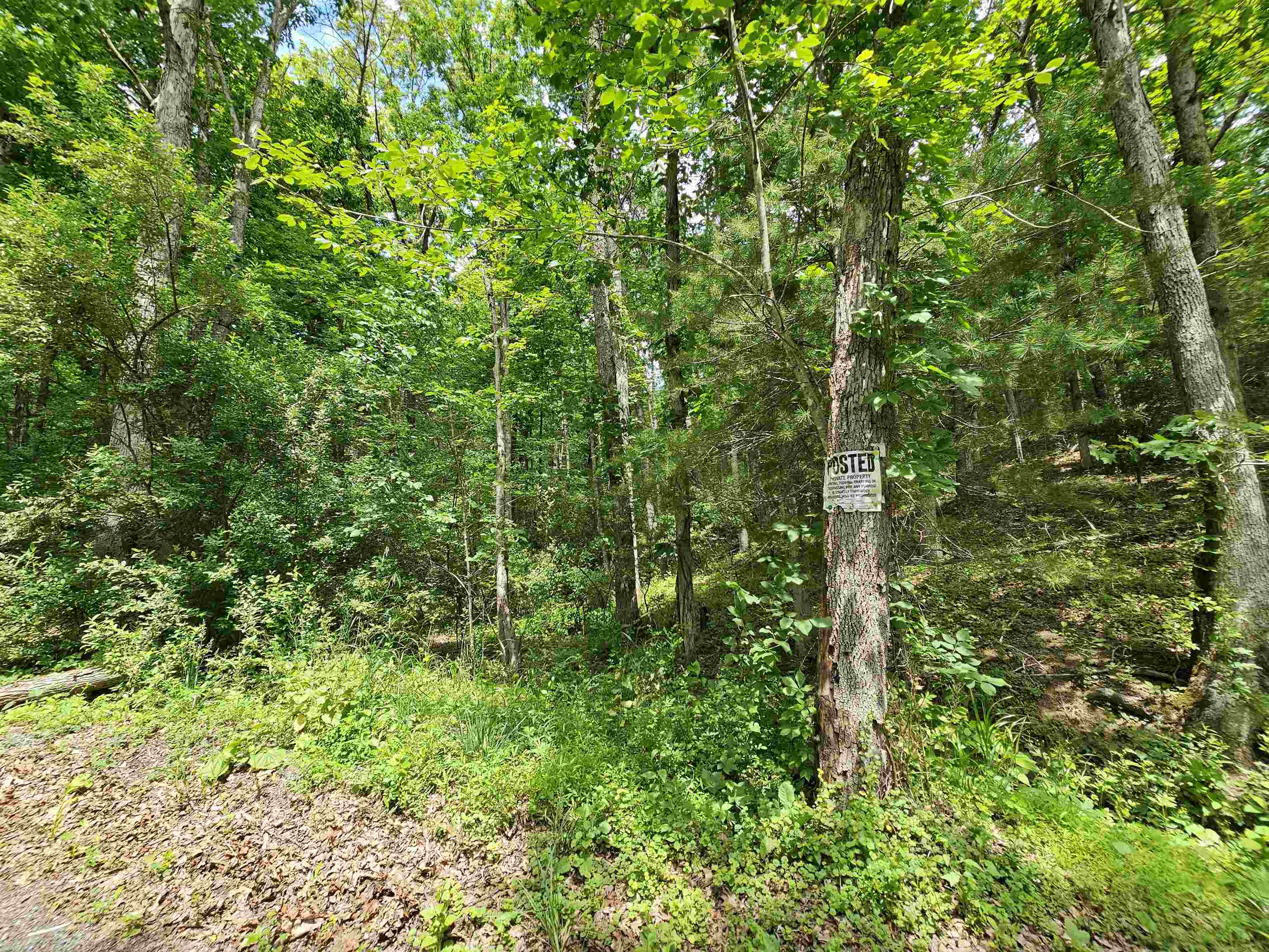 2105 COLES MOUNTAIN RD, HOT SPRINGS, Virginia 24445, 1 Bedroom Bedrooms, ,1 BathroomBathrooms,Residential,14,2105 COLES MOUNTAIN RD,678606 MLS # 678606
