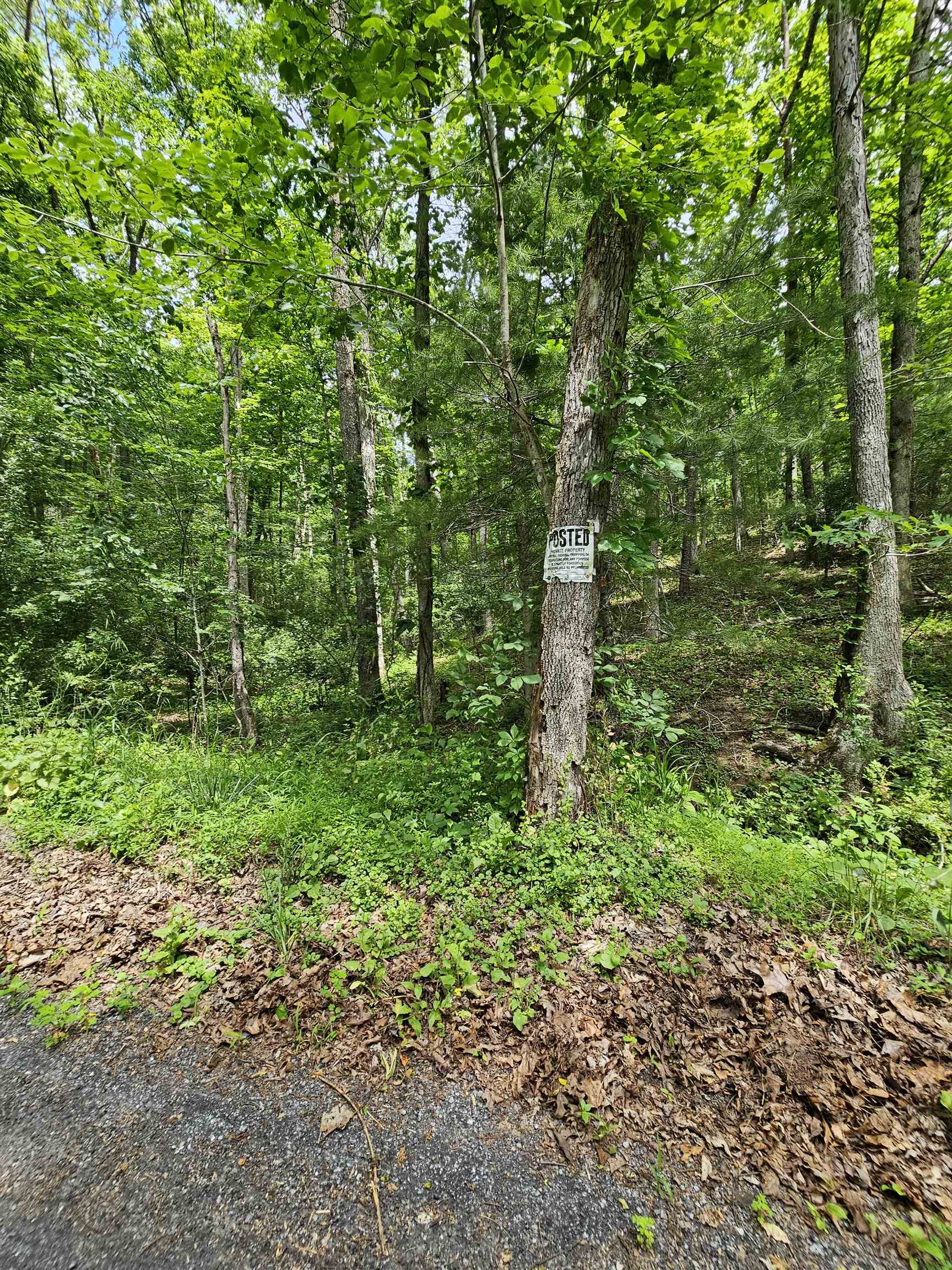 2105 COLES MOUNTAIN RD, HOT SPRINGS, Virginia 24445, 1 Bedroom Bedrooms, ,1 BathroomBathrooms,Residential,14,2105 COLES MOUNTAIN RD,678606 MLS # 678606