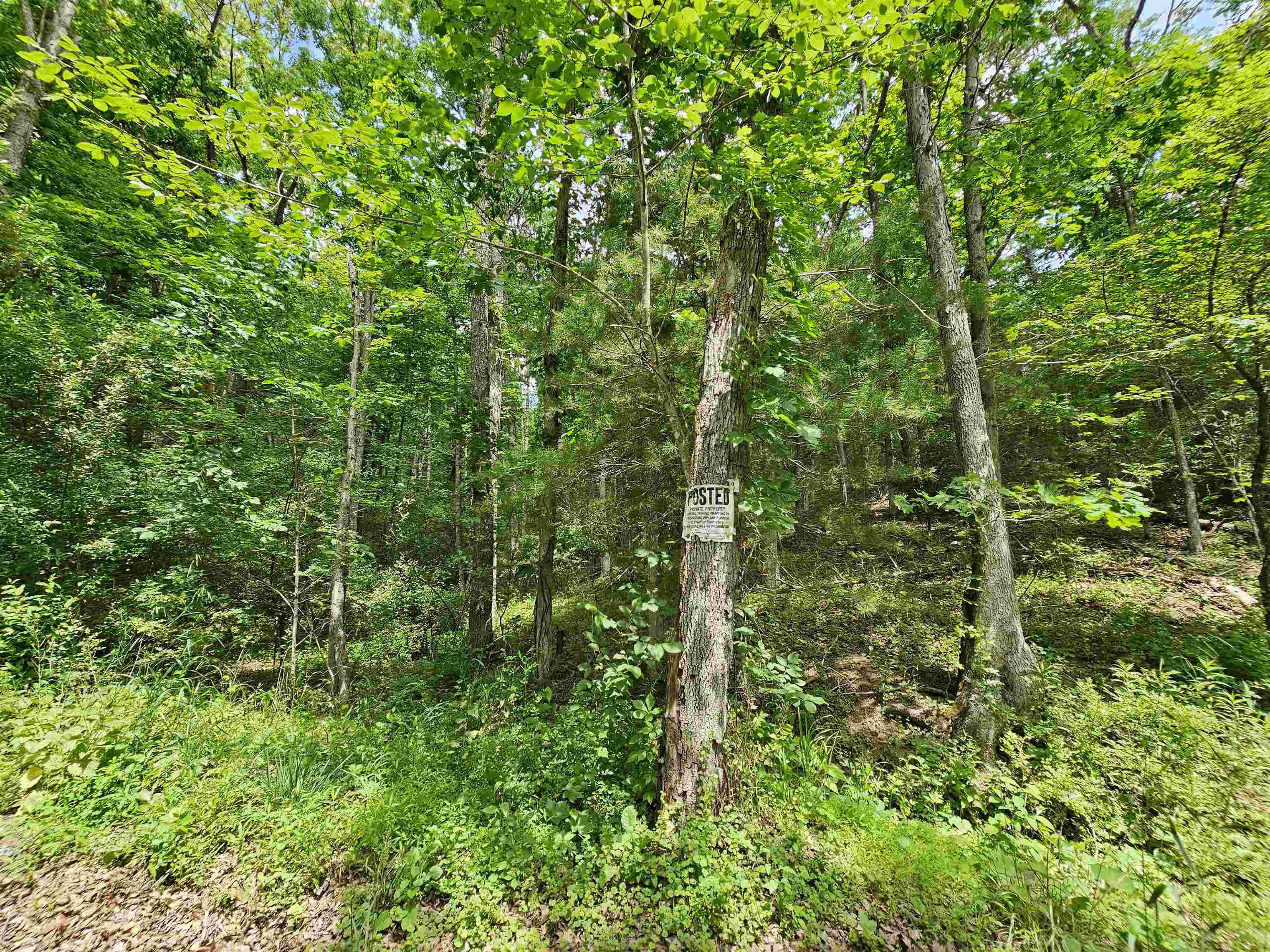 2105 COLES MOUNTAIN RD, HOT SPRINGS, Virginia 24445, 1 Bedroom Bedrooms, ,1 BathroomBathrooms,Residential,14,2105 COLES MOUNTAIN RD,678606 MLS # 678606