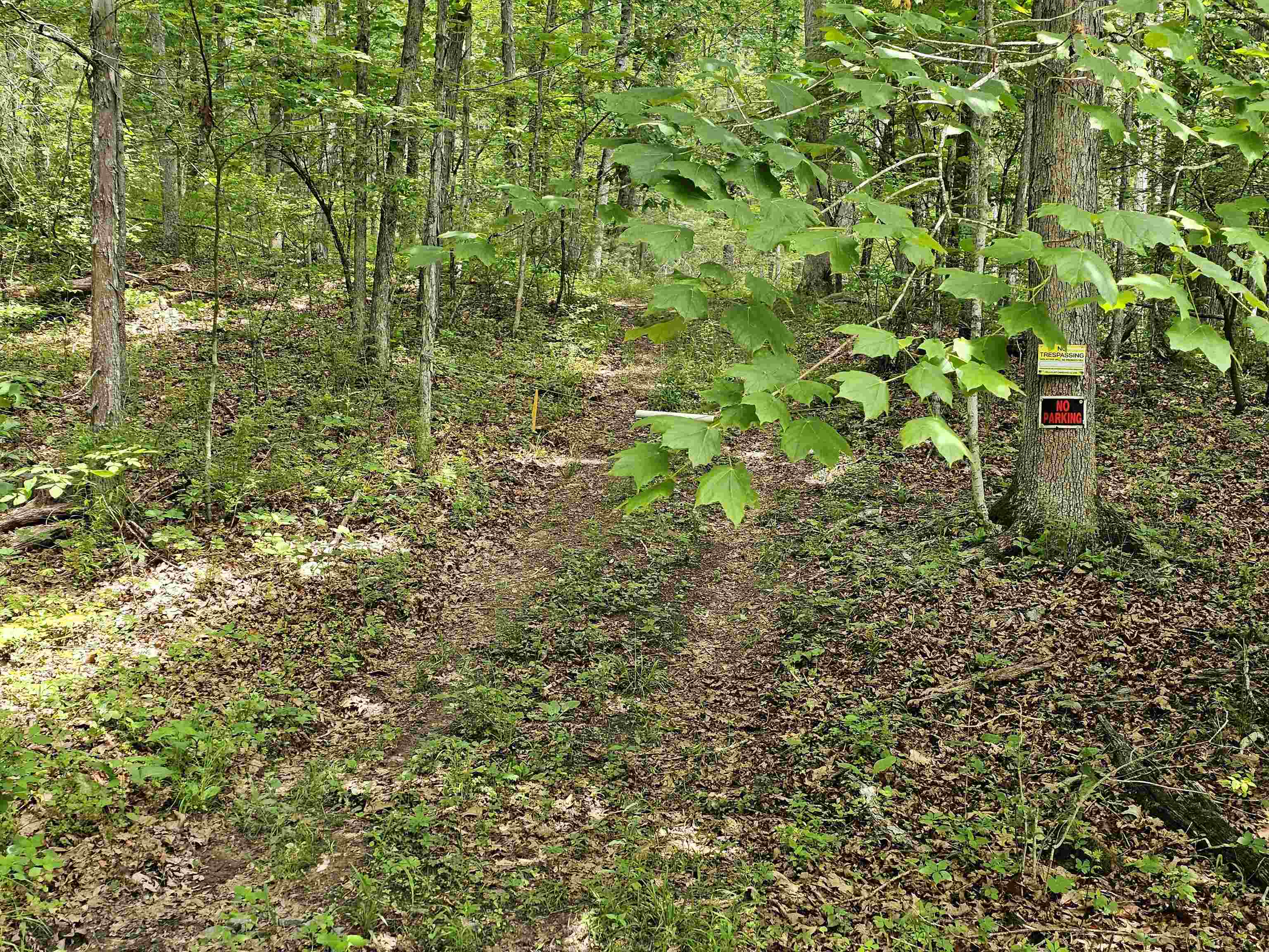 2105 COLES MOUNTAIN RD, HOT SPRINGS, Virginia 24445, 1 Bedroom Bedrooms, ,1 BathroomBathrooms,Residential,14,2105 COLES MOUNTAIN RD,678606 MLS # 678606