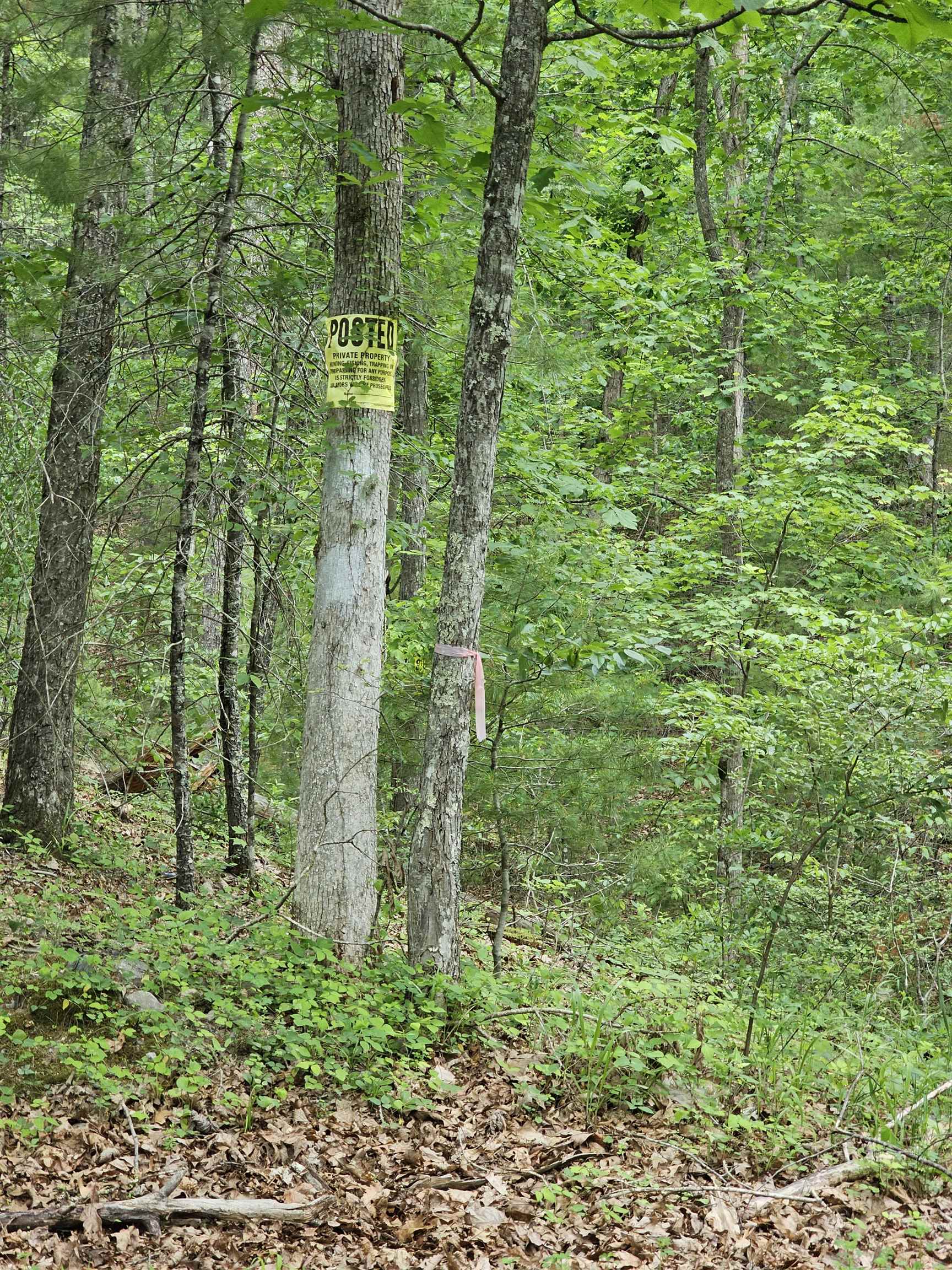 2105 COLES MOUNTAIN RD, HOT SPRINGS, Virginia 24445, 1 Bedroom Bedrooms, ,1 BathroomBathrooms,Residential,14,2105 COLES MOUNTAIN RD,678606 MLS # 678606