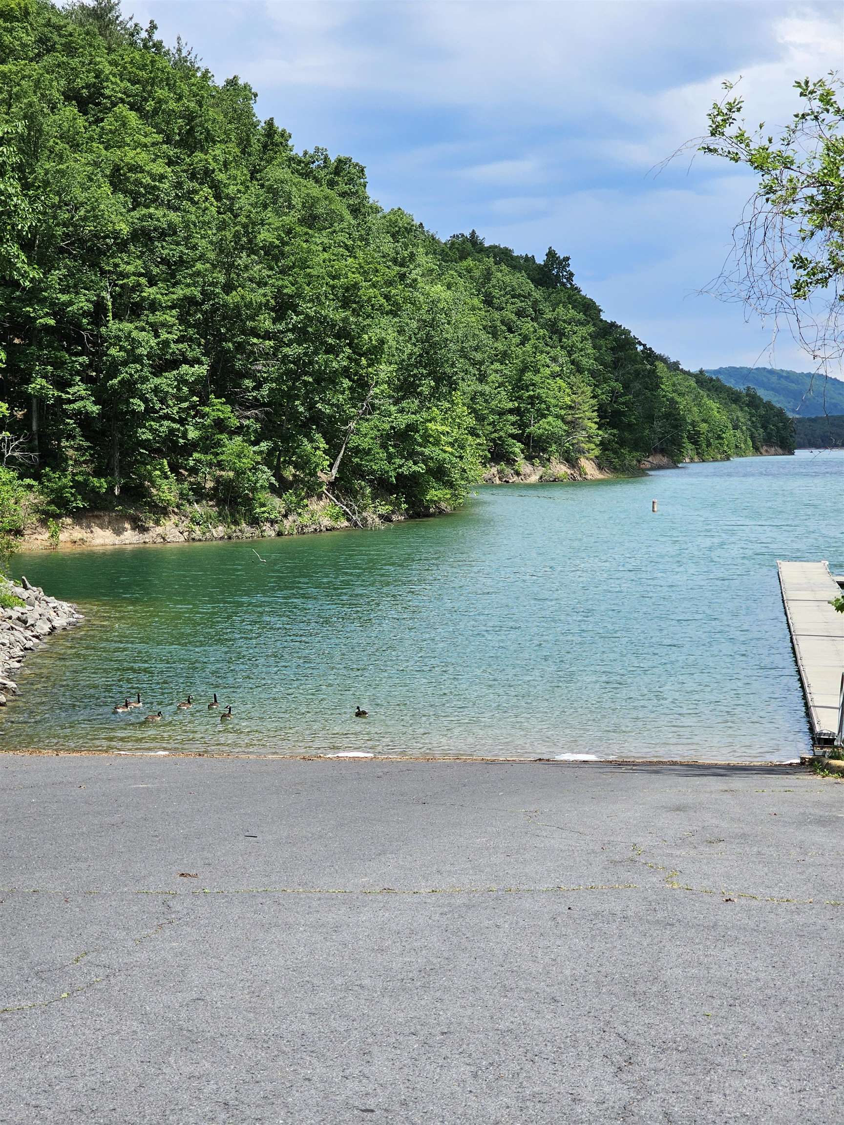 2105 COLES MOUNTAIN RD, HOT SPRINGS, Virginia 24445, 1 Bedroom Bedrooms, ,1 BathroomBathrooms,Residential,14,2105 COLES MOUNTAIN RD,678606 MLS # 678606
