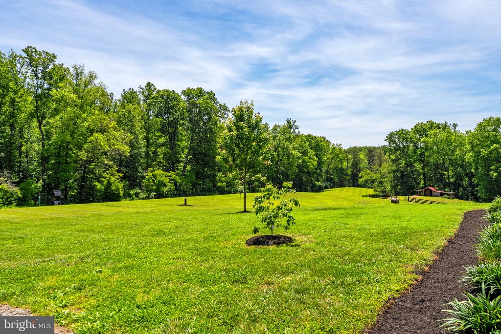 11192 RIXEYVILLE RD, CULPEPER, Virginia 22701, 4 Bedrooms Bedrooms, ,2 BathroomsBathrooms,Residential,14,11192 RIXEYVILLE RD,VACU2014068 MLS # VACU2014068 11192 RIXEYVILLE RD, CULPEPER, Virginia 22701, 4 Bedrooms Bedrooms, ,2 BathroomsBathrooms,Residential,14,11192 RIXEYVILLE RD,VACU2014068 MLS # VACU2014068