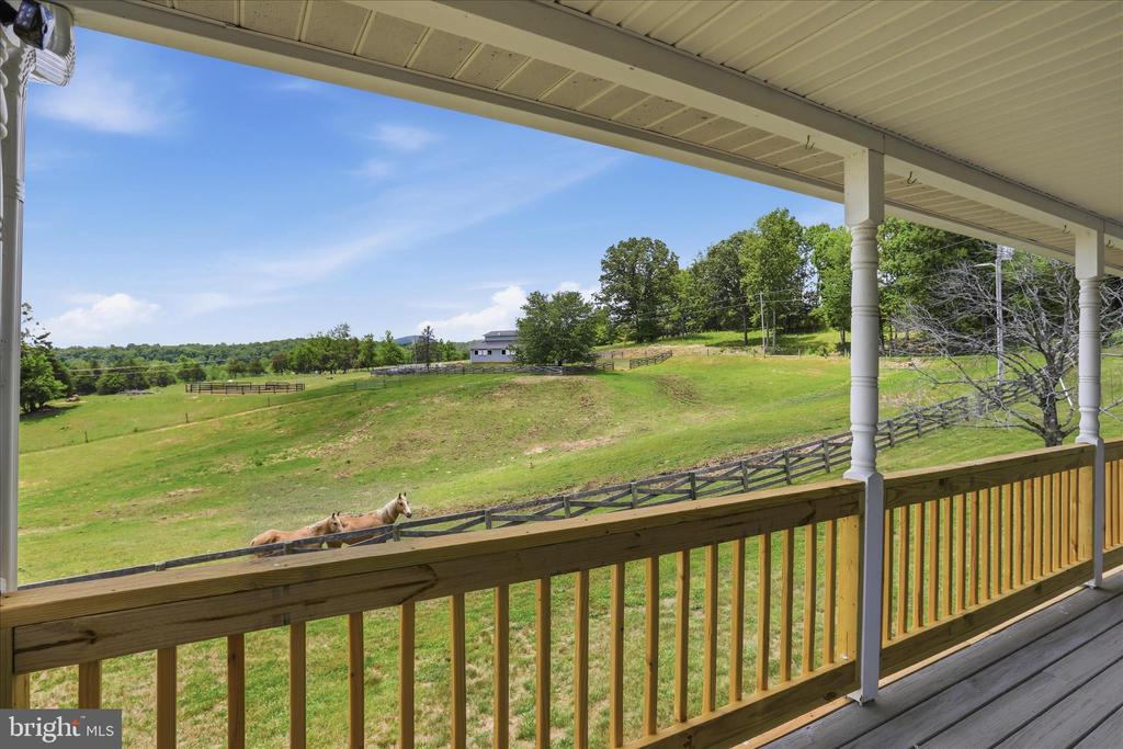 59 HARRY SETTLE RD, CASTLETON, Virginia 22716, 4 Bedrooms Bedrooms, ,2 BathroomsBathrooms,Residential,14,59 HARRY SETTLE RD,VARP2002682 MLS # VARP2002682