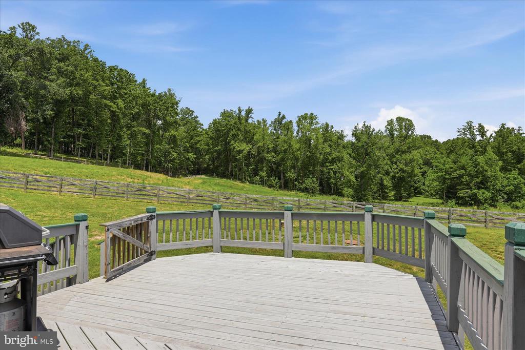 59 HARRY SETTLE RD, CASTLETON, Virginia 22716, 4 Bedrooms Bedrooms, ,2 BathroomsBathrooms,Residential,14,59 HARRY SETTLE RD,VARP2002682 MLS # VARP2002682