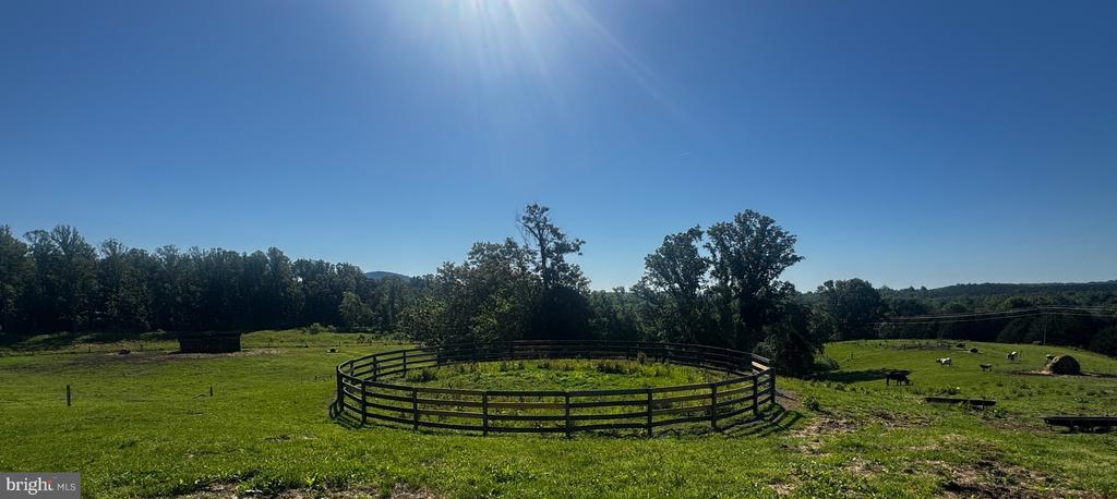 59 HARRY SETTLE RD, CASTLETON, Virginia 22716, 4 Bedrooms Bedrooms, ,2 BathroomsBathrooms,Residential,14,59 HARRY SETTLE RD,VARP2002682 MLS # VARP2002682