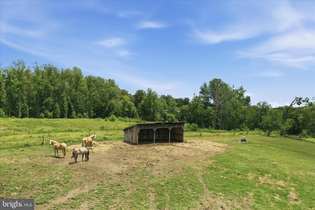 59 HARRY SETTLE RD, CASTLETON, Virginia 22716, 4 Bedrooms Bedrooms, ,2 BathroomsBathrooms,Residential,14,59 HARRY SETTLE RD,VARP2002682 MLS # VARP2002682