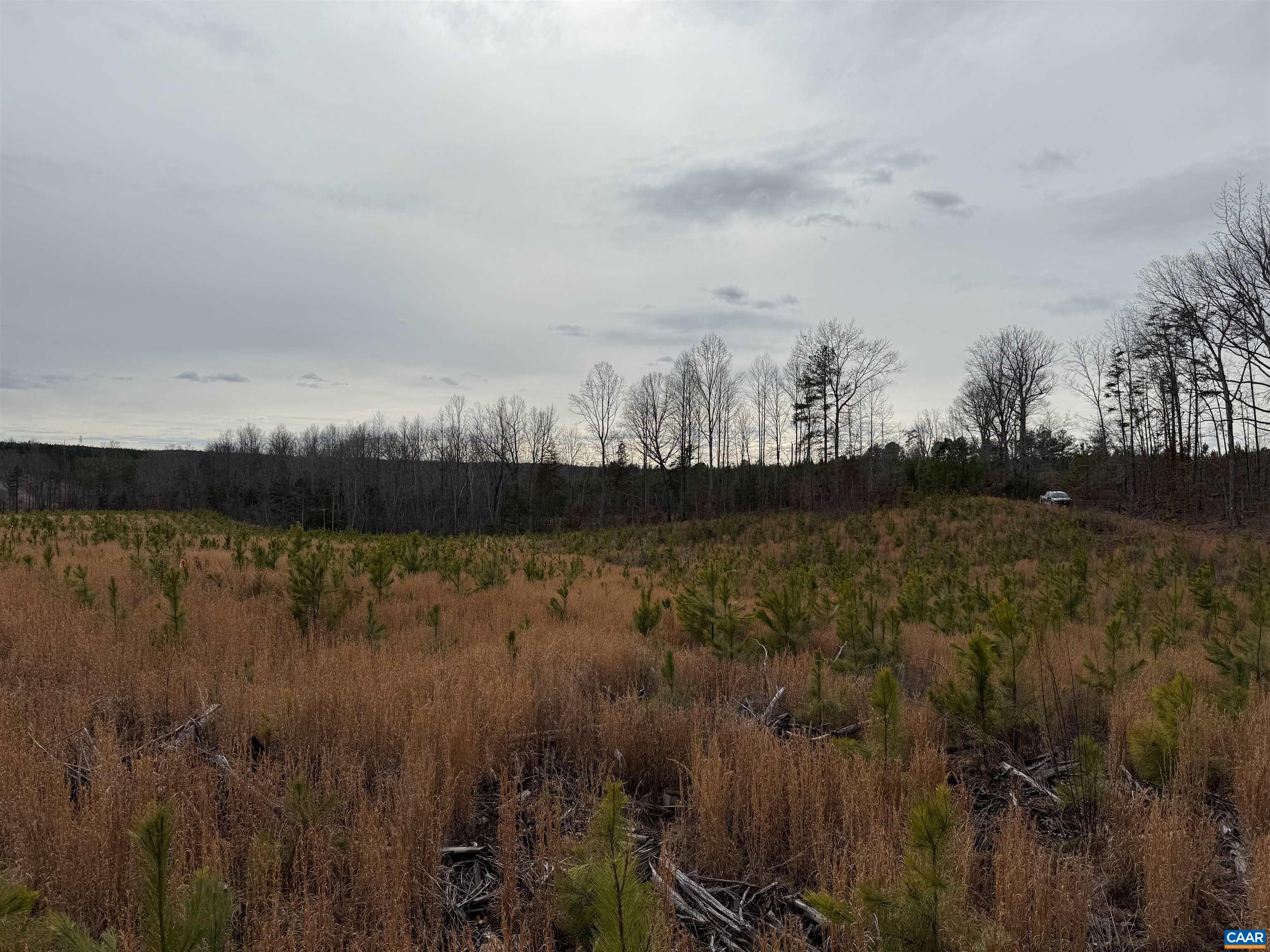 TBD COMMUNITY HOUSE RD, KENTS STORE, Virginia 23084, ,Land,14,TBD COMMUNITY HOUSE RD,678790 MLS # 678790