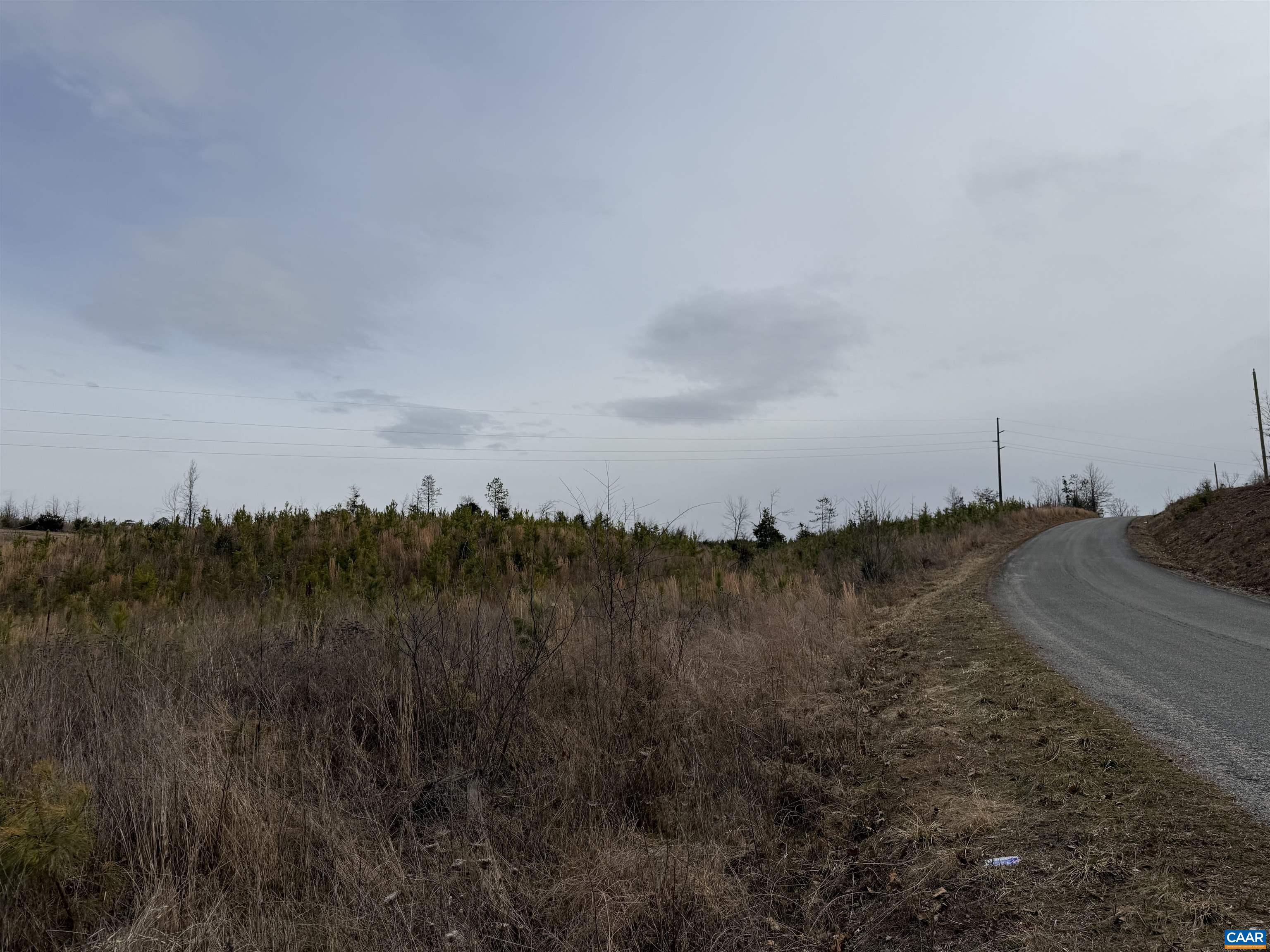 TBD COMMUNITY HOUSE RD, KENTS STORE, Virginia 23084, ,Land,14,TBD COMMUNITY HOUSE RD,678790 MLS # 678790