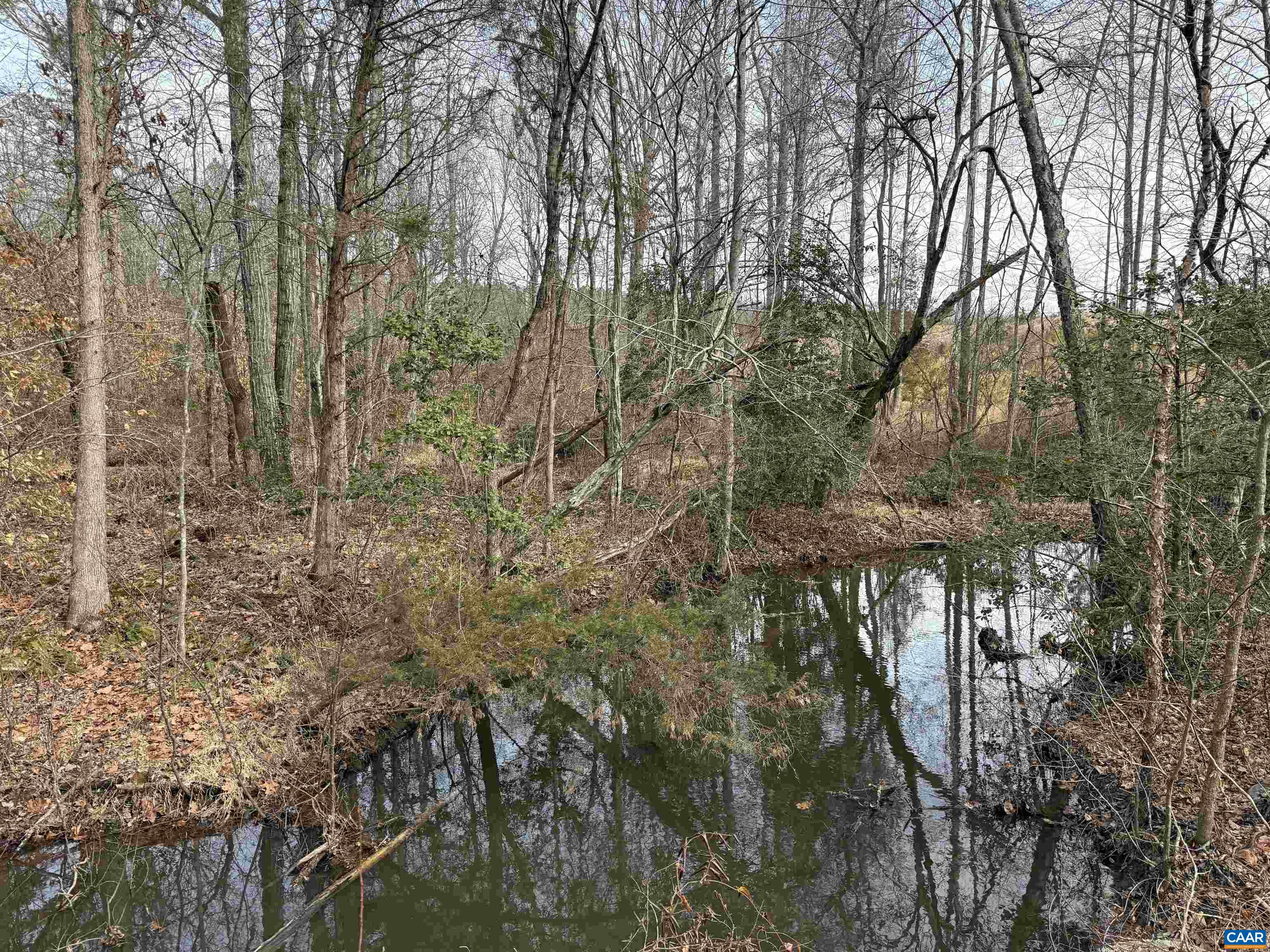 TBD COMMUNITY HOUSE RD, KENTS STORE, Virginia 23084, ,Land,14,TBD COMMUNITY HOUSE RD,678790 MLS # 678790