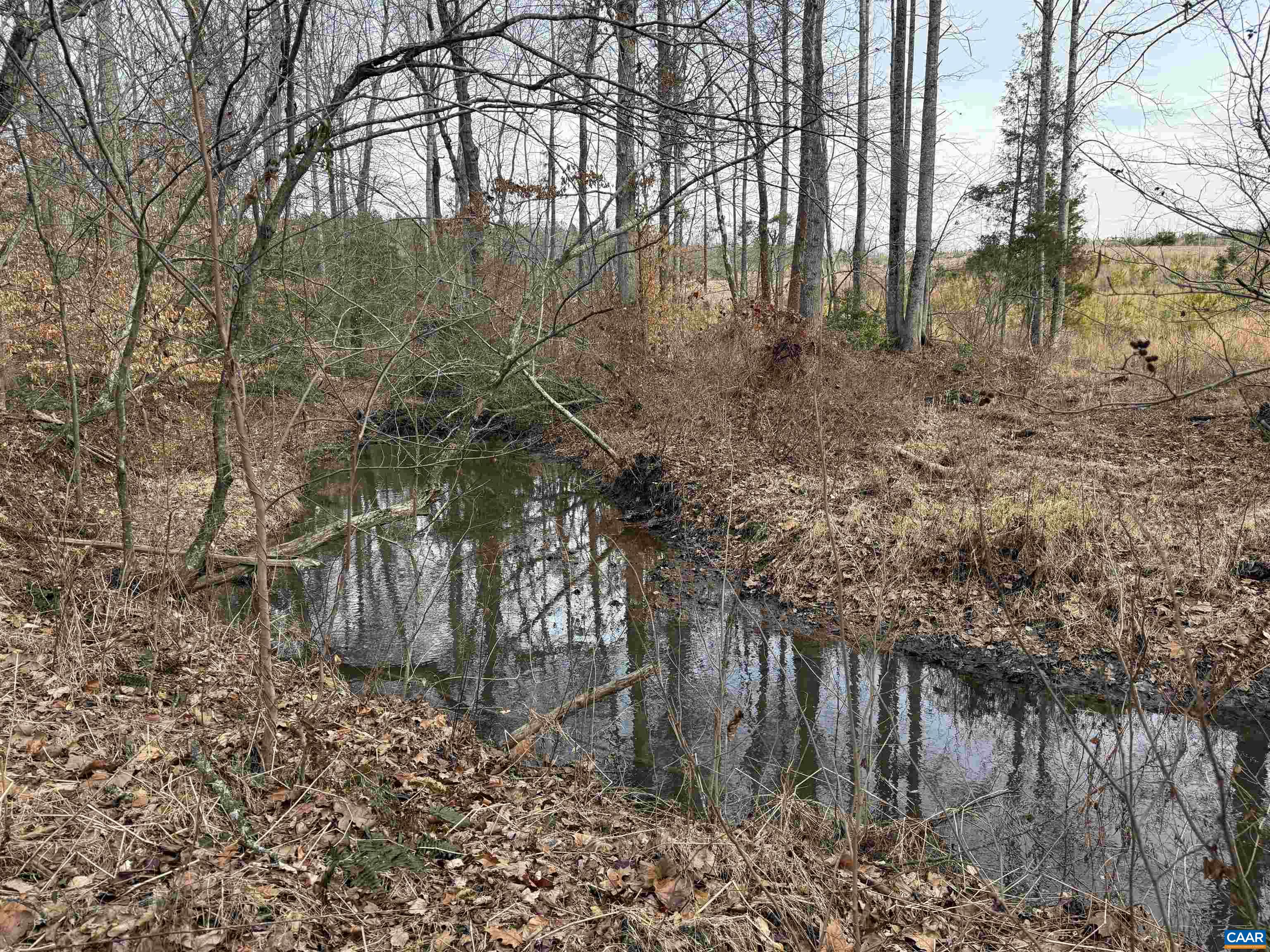 TBD COMMUNITY HOUSE RD, KENTS STORE, Virginia 23084, ,Land,14,TBD COMMUNITY HOUSE RD,678790 MLS # 678790
