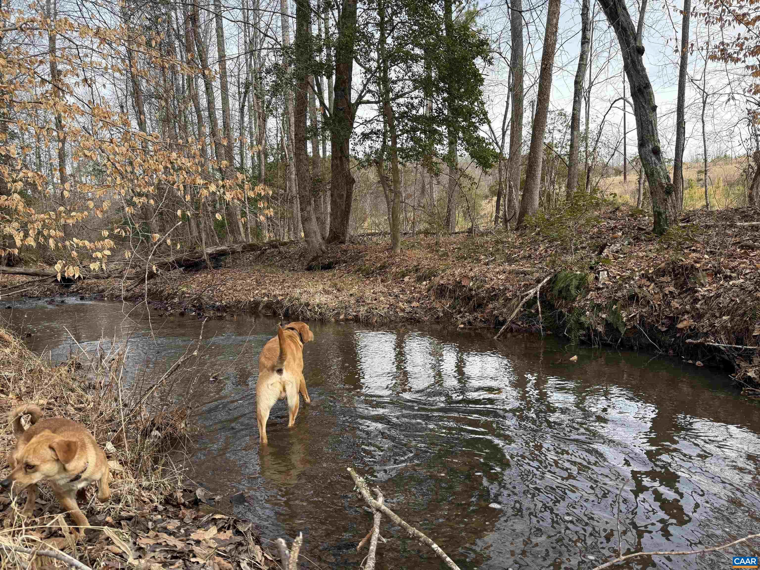 TBD COMMUNITY HOUSE RD, KENTS STORE, Virginia 23084, ,Land,14,TBD COMMUNITY HOUSE RD,678790 MLS # 678790