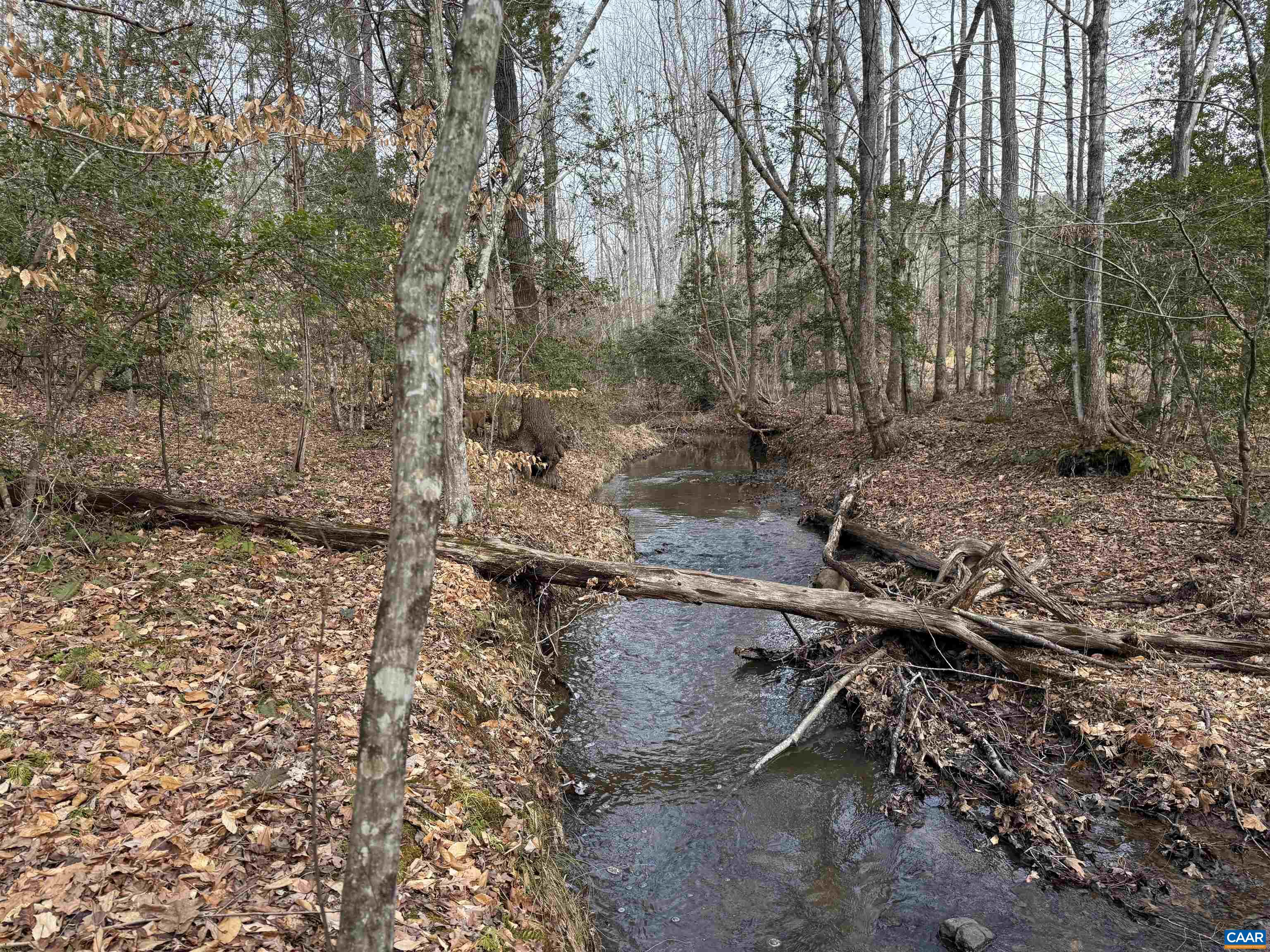 TBD COMMUNITY HOUSE RD, KENTS STORE, Virginia 23084, ,Land,14,TBD COMMUNITY HOUSE RD,678790 MLS # 678790