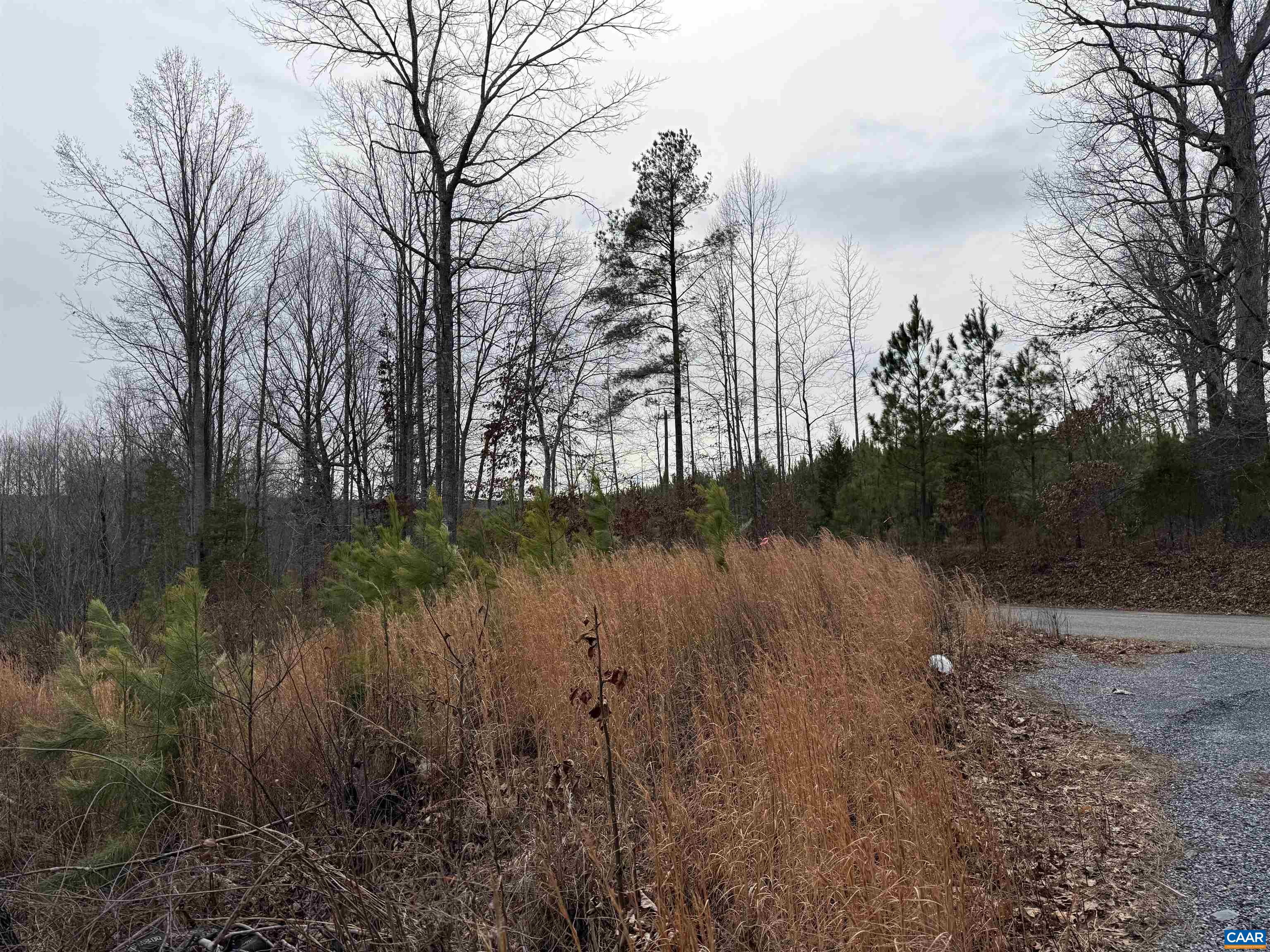 TBD COMMUNITY HOUSE RD, KENTS STORE, Virginia 23084, ,Land,14,TBD COMMUNITY HOUSE RD,678790 MLS # 678790