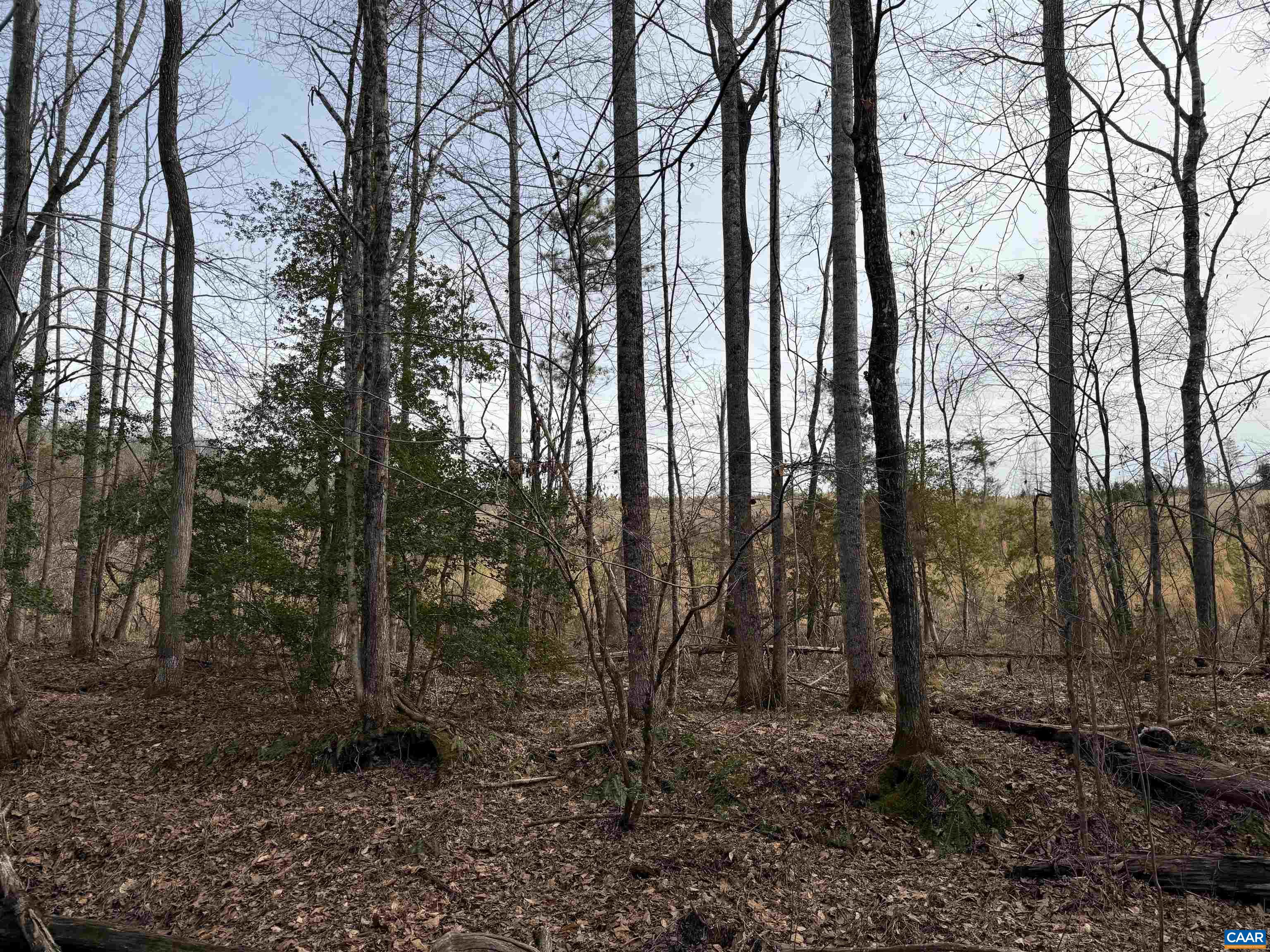 TBD COMMUNITY HOUSE RD, KENTS STORE, Virginia 23084, ,Land,14,TBD COMMUNITY HOUSE RD,678790 MLS # 678790