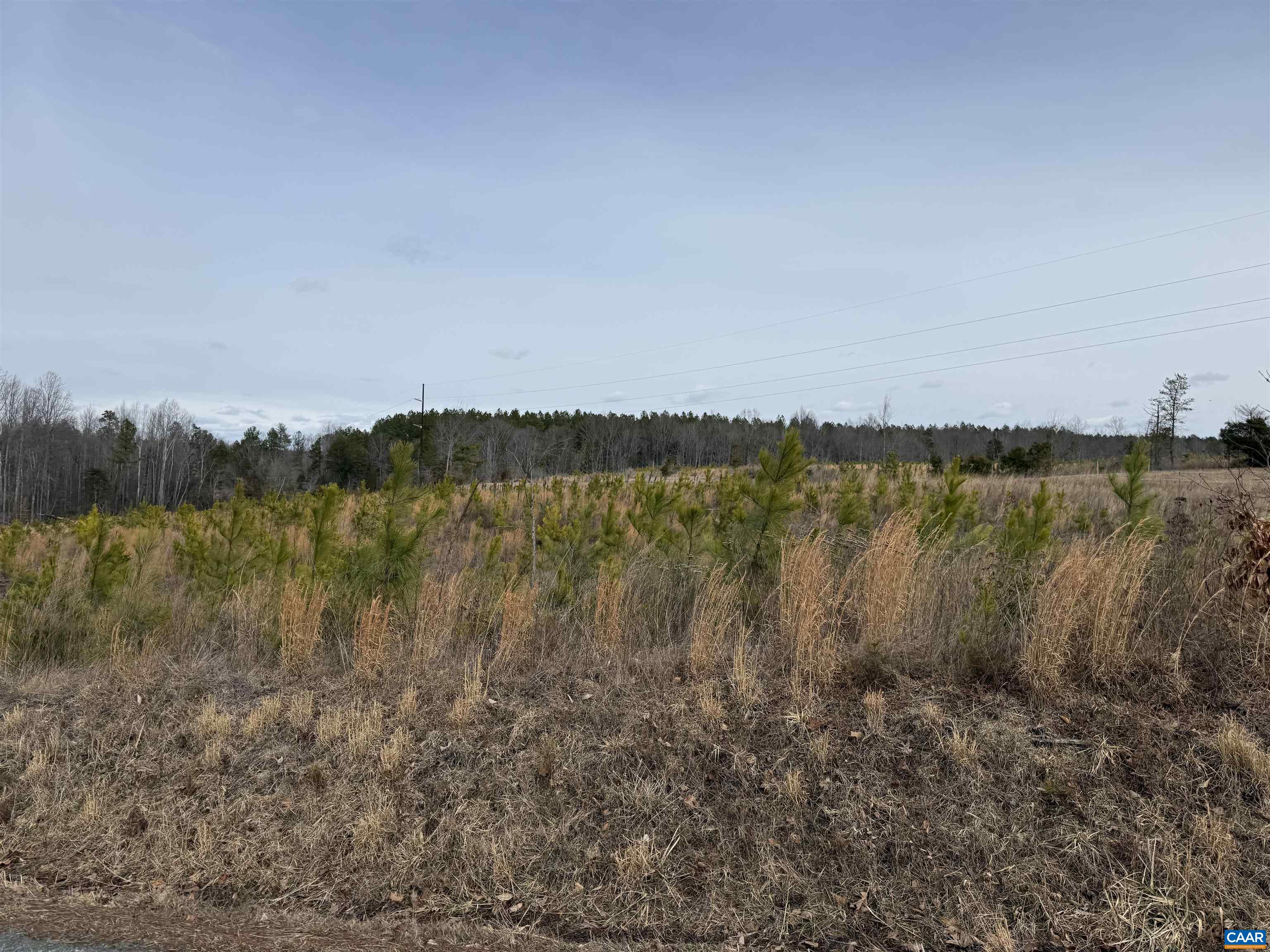 TBD COMMUNITY HOUSE RD, KENTS STORE, Virginia 23084, ,Land,14,TBD COMMUNITY HOUSE RD,678790 MLS # 678790
