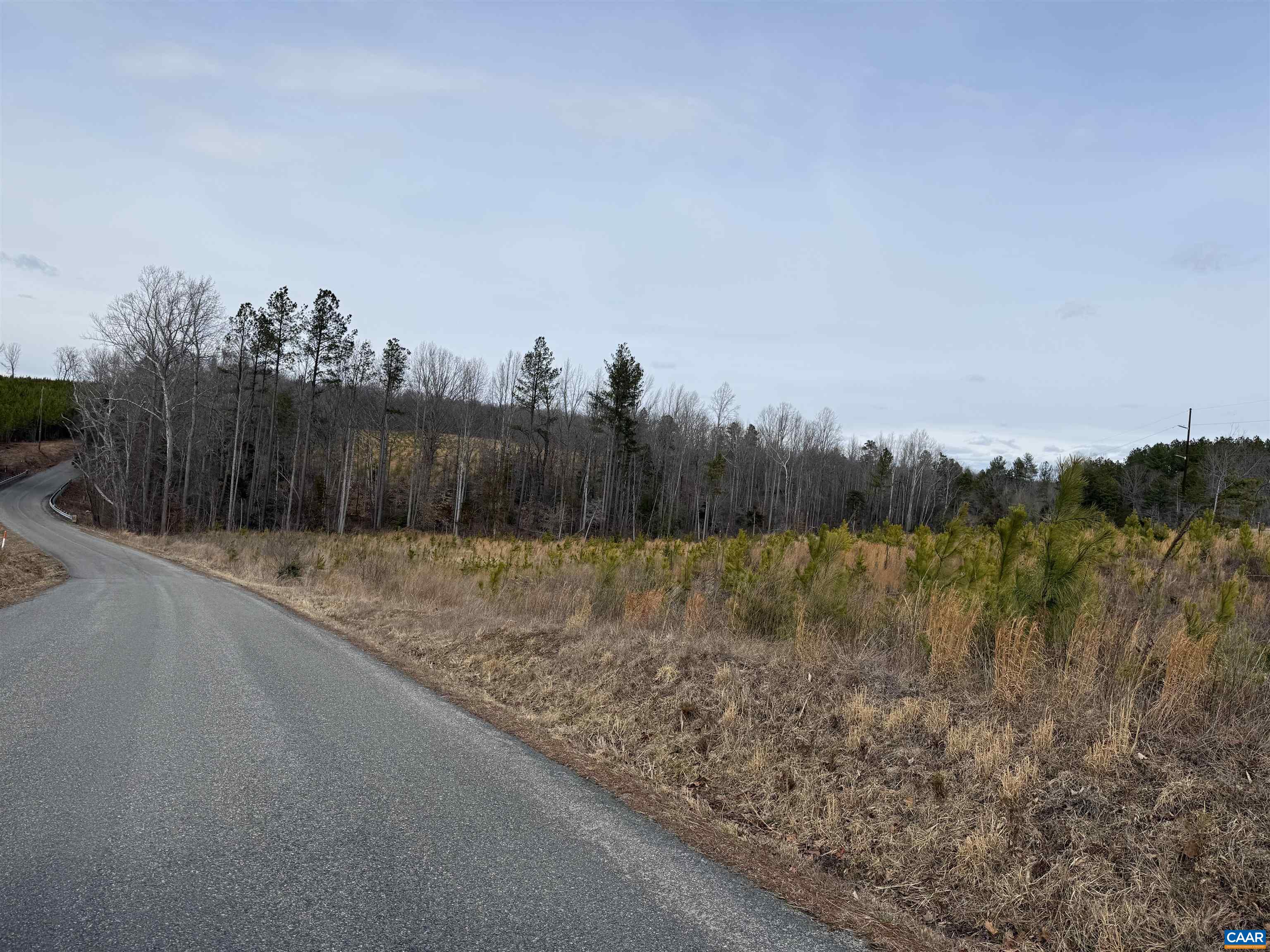 TBD COMMUNITY HOUSE RD, KENTS STORE, Virginia 23084, ,Land,14,TBD COMMUNITY HOUSE RD,678790 MLS # 678790