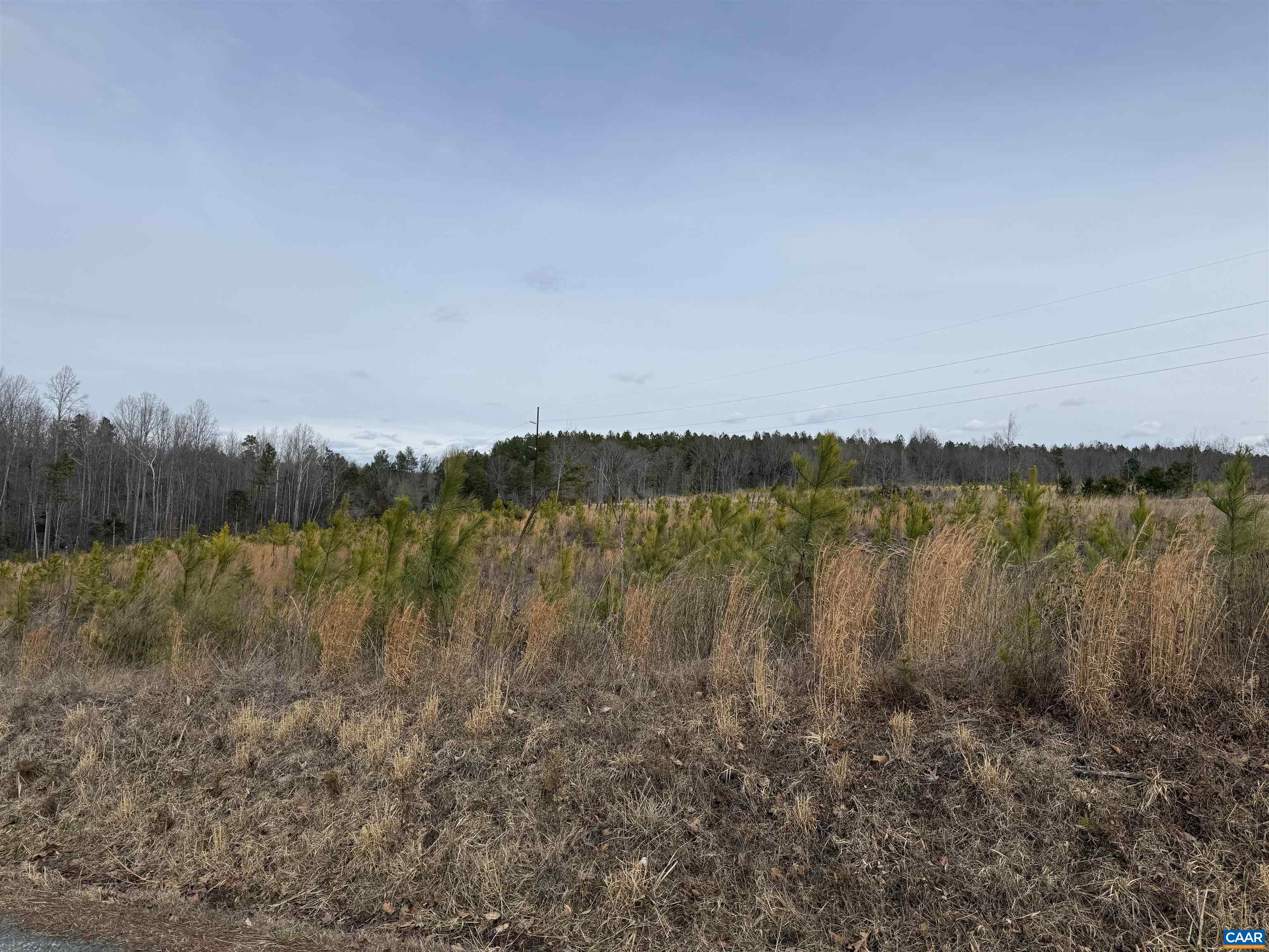 TBD COMMUNITY HOUSE RD, KENTS STORE, Virginia 23084, ,Land,14,TBD COMMUNITY HOUSE RD,678790 MLS # 678790