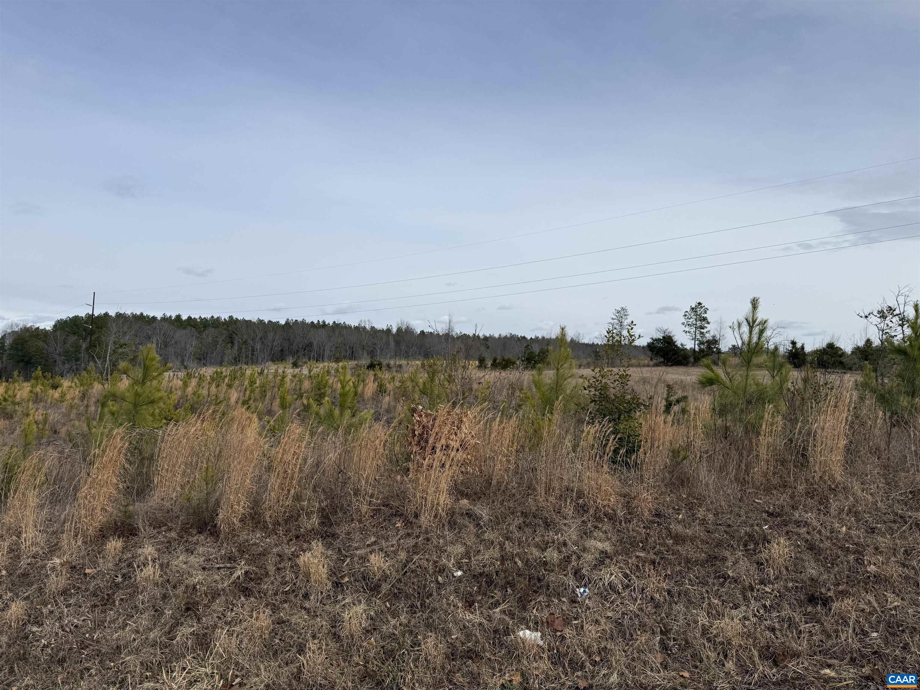 TBD COMMUNITY HOUSE RD, KENTS STORE, Virginia 23084, ,Land,14,TBD COMMUNITY HOUSE RD,678790 MLS # 678790