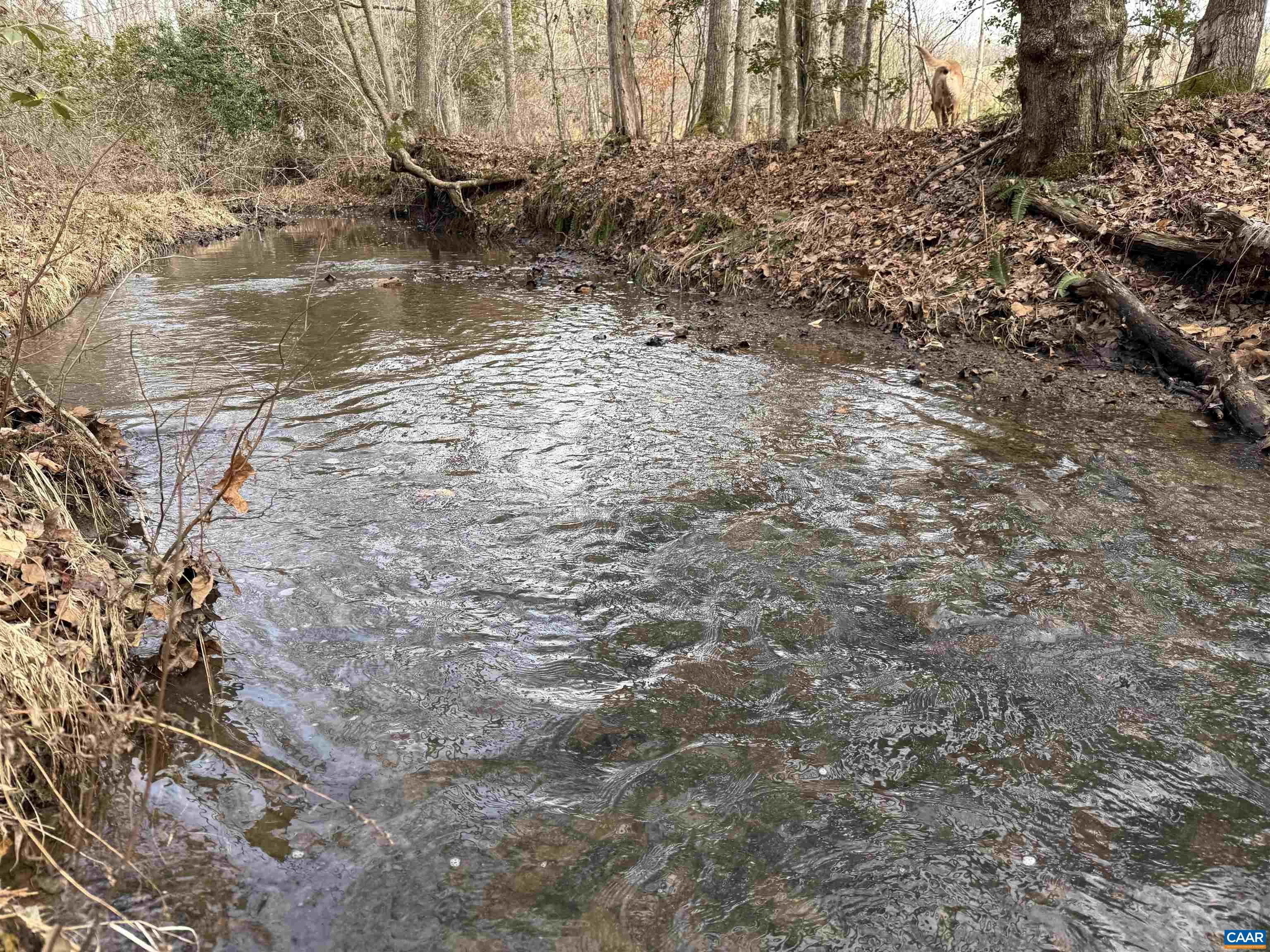 TBD COMMUNITY HOUSE RD, KENTS STORE, Virginia 23084, ,Land,14,TBD COMMUNITY HOUSE RD,678790 MLS # 678790
