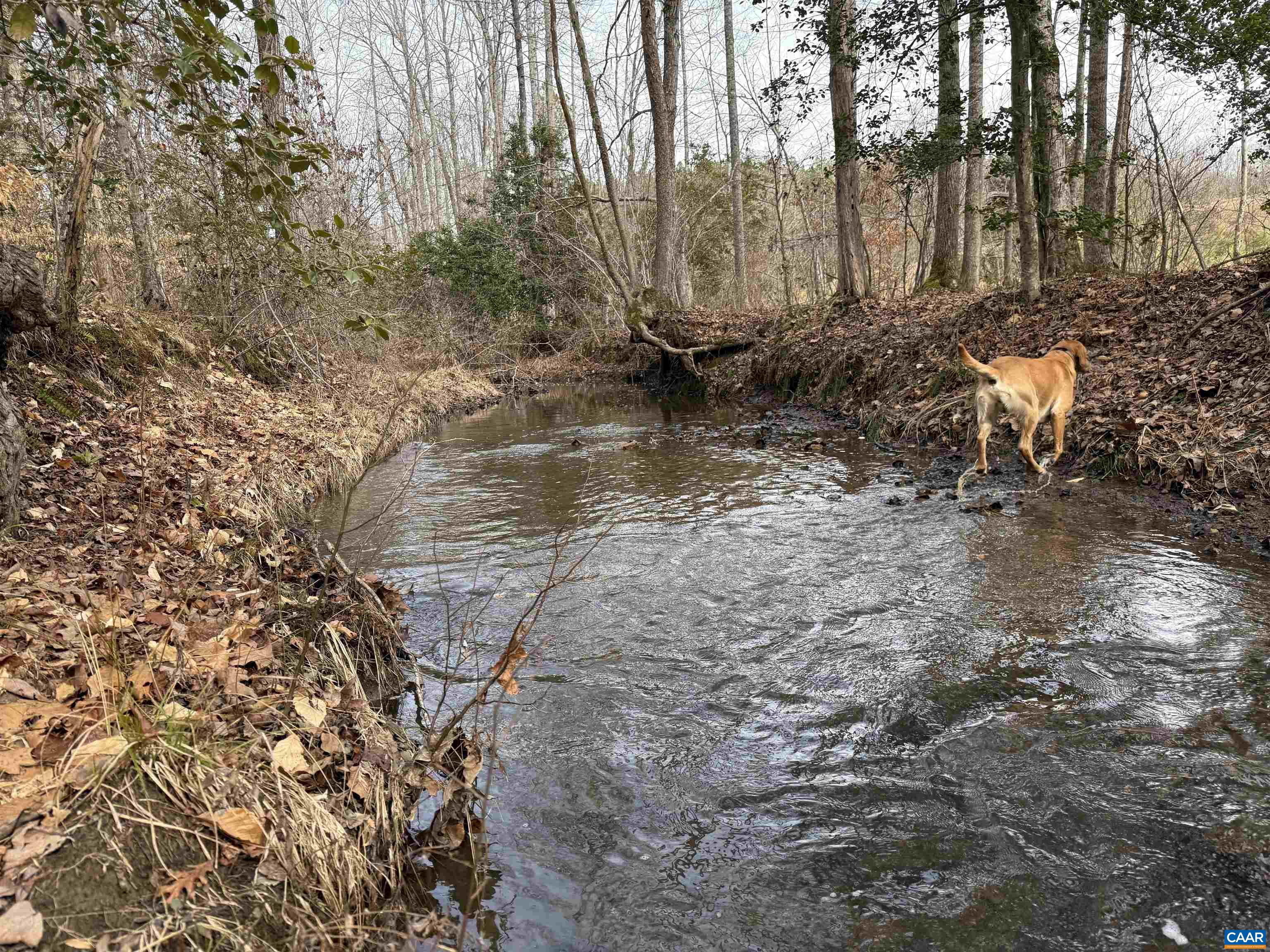 TBD COMMUNITY HOUSE RD, KENTS STORE, Virginia 23084, ,Land,14,TBD COMMUNITY HOUSE RD,678790 MLS # 678790