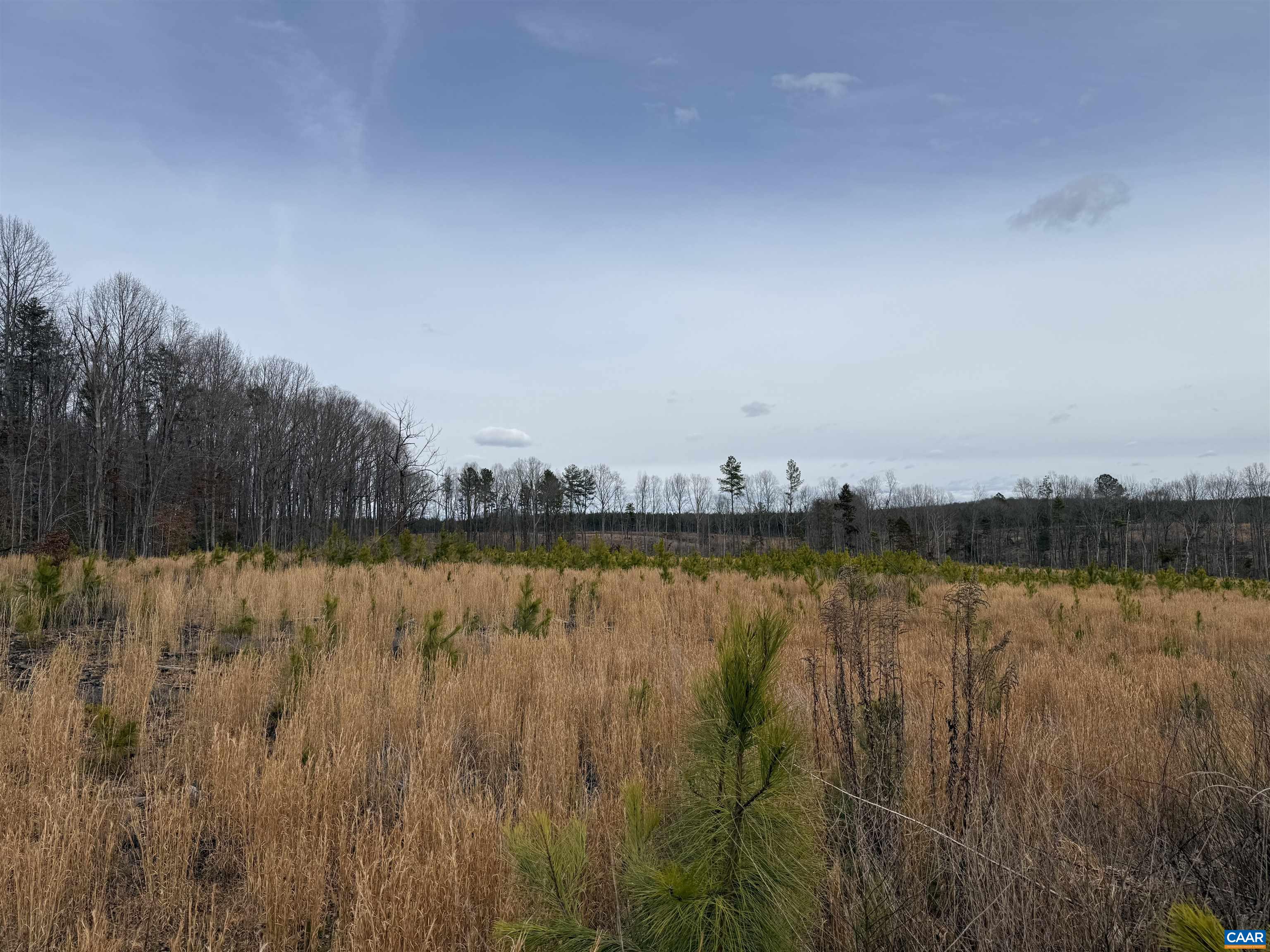 TBD COMMUNITY HOUSE RD, KENTS STORE, Virginia 23084, ,Land,14,TBD COMMUNITY HOUSE RD,678790 MLS # 678790