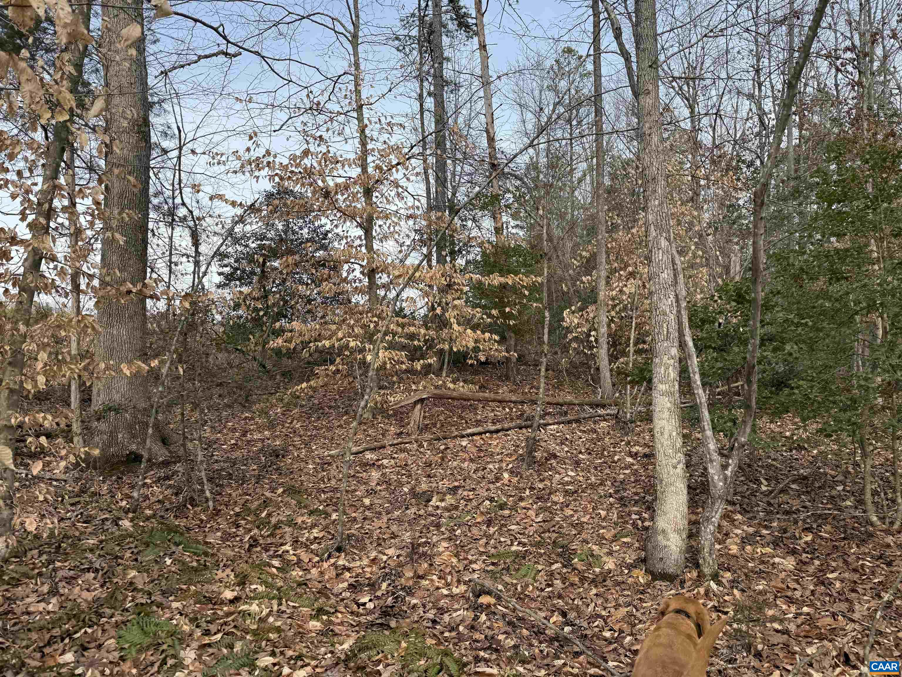 TBD COMMUNITY HOUSE RD, KENTS STORE, Virginia 23084, ,Land,14,TBD COMMUNITY HOUSE RD,678790 MLS # 678790