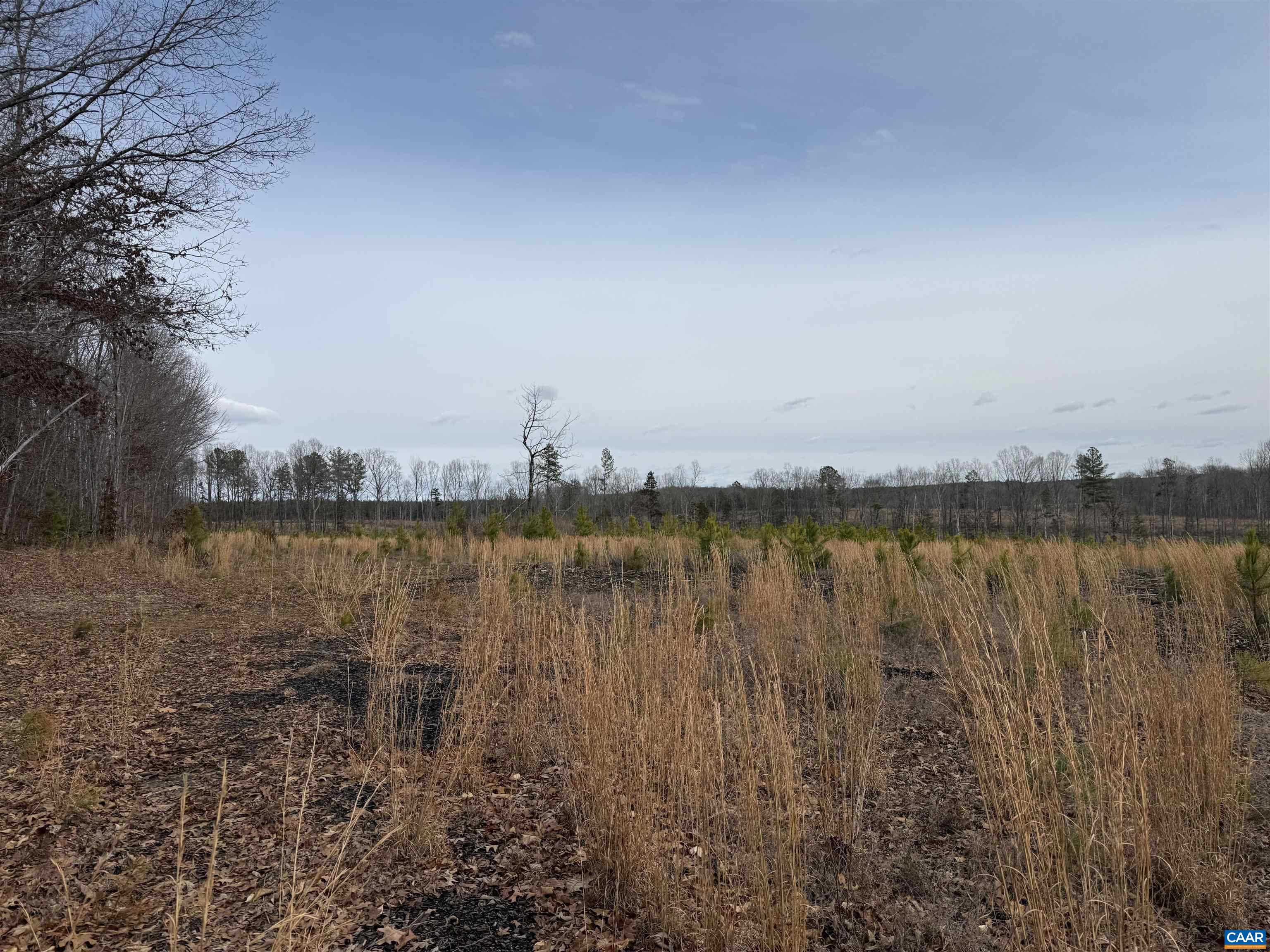TBD COMMUNITY HOUSE RD, KENTS STORE, Virginia 23084, ,Land,14,TBD COMMUNITY HOUSE RD,678790 MLS # 678790