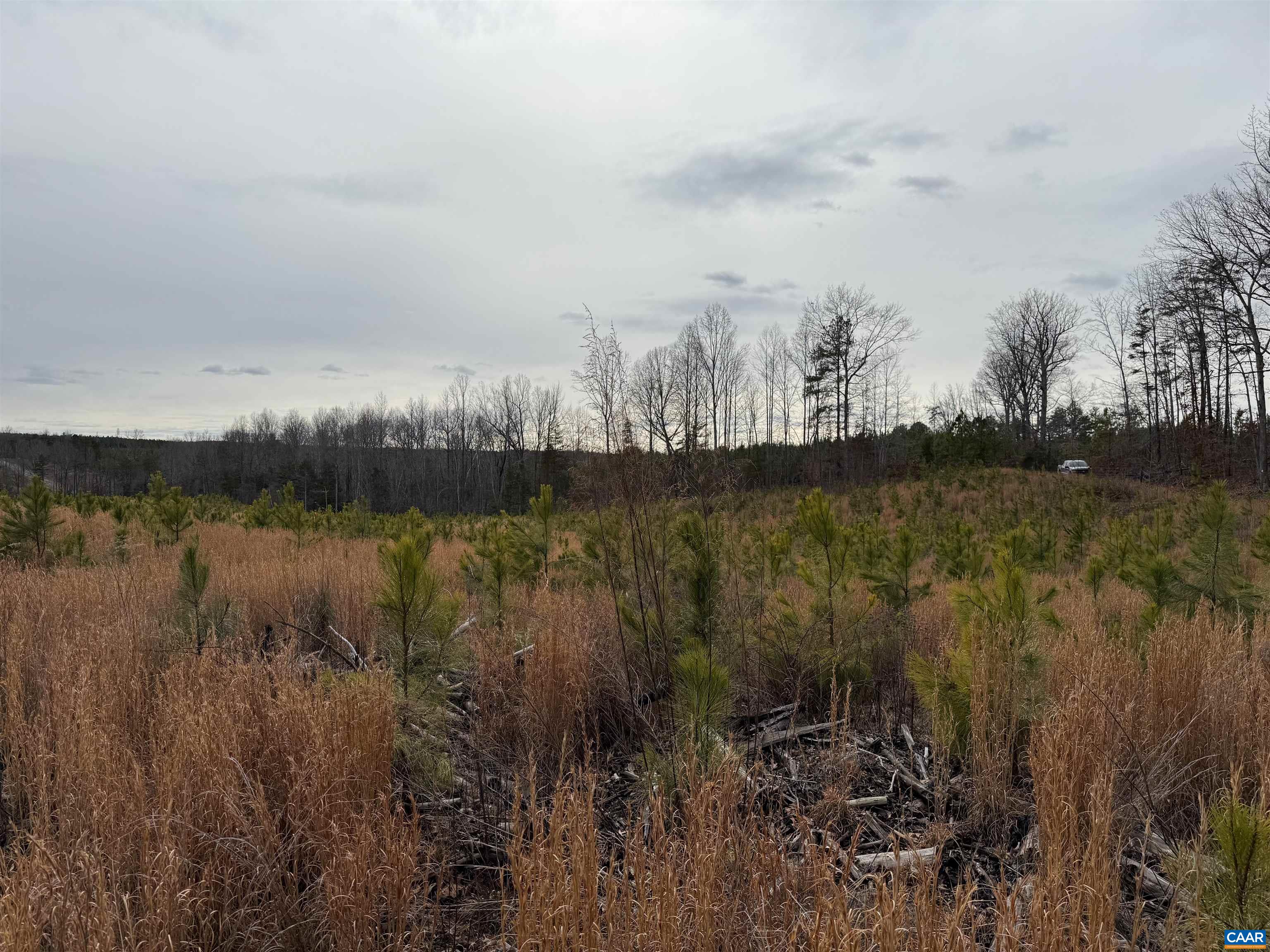 TBD COMMUNITY HOUSE RD, KENTS STORE, Virginia 23084, ,Land,14,TBD COMMUNITY HOUSE RD,678790 MLS # 678790