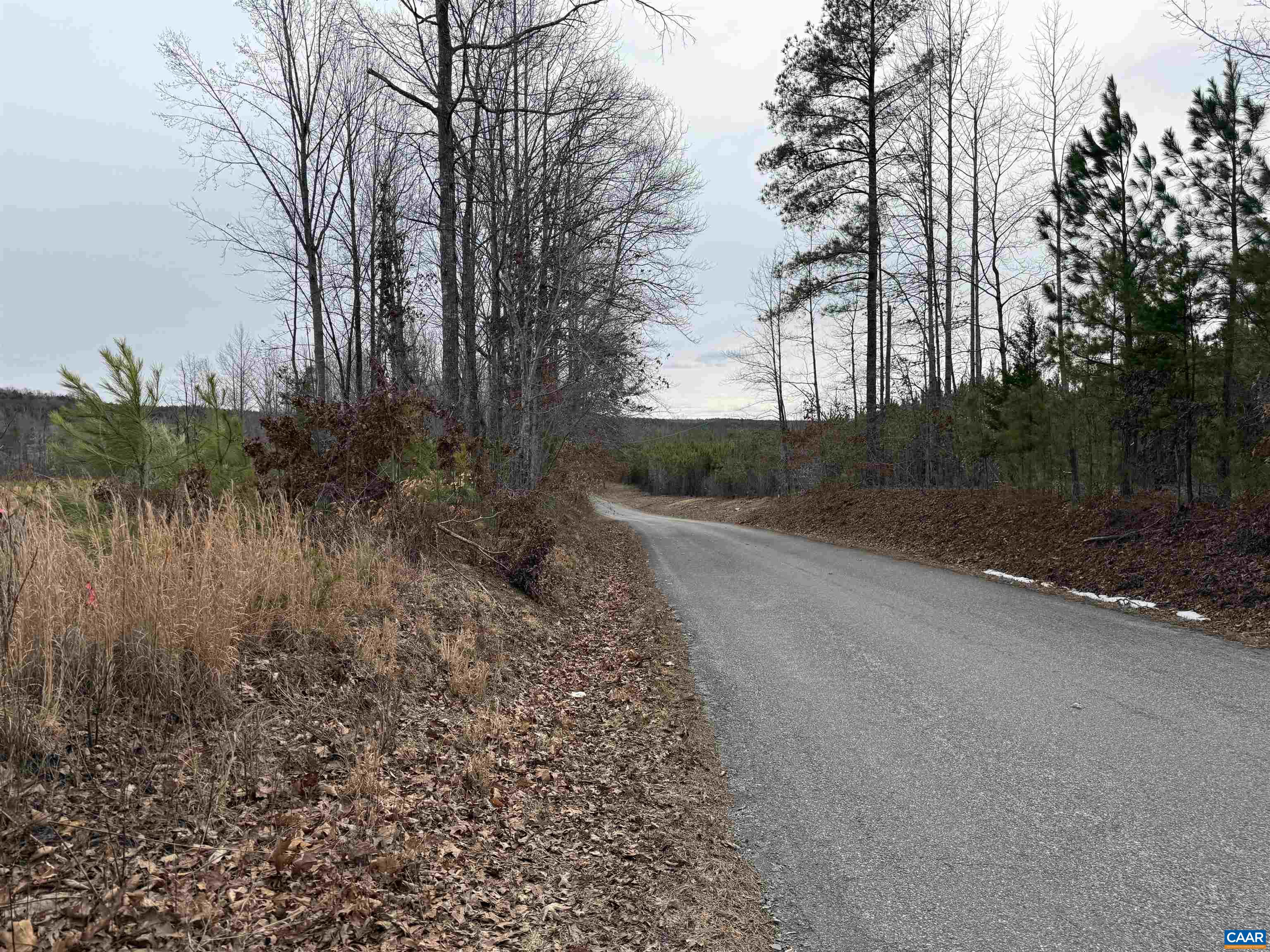 TBD COMMUNITY HOUSE RD, KENTS STORE, Virginia 23084, ,Land,14,TBD COMMUNITY HOUSE RD,678790 MLS # 678790