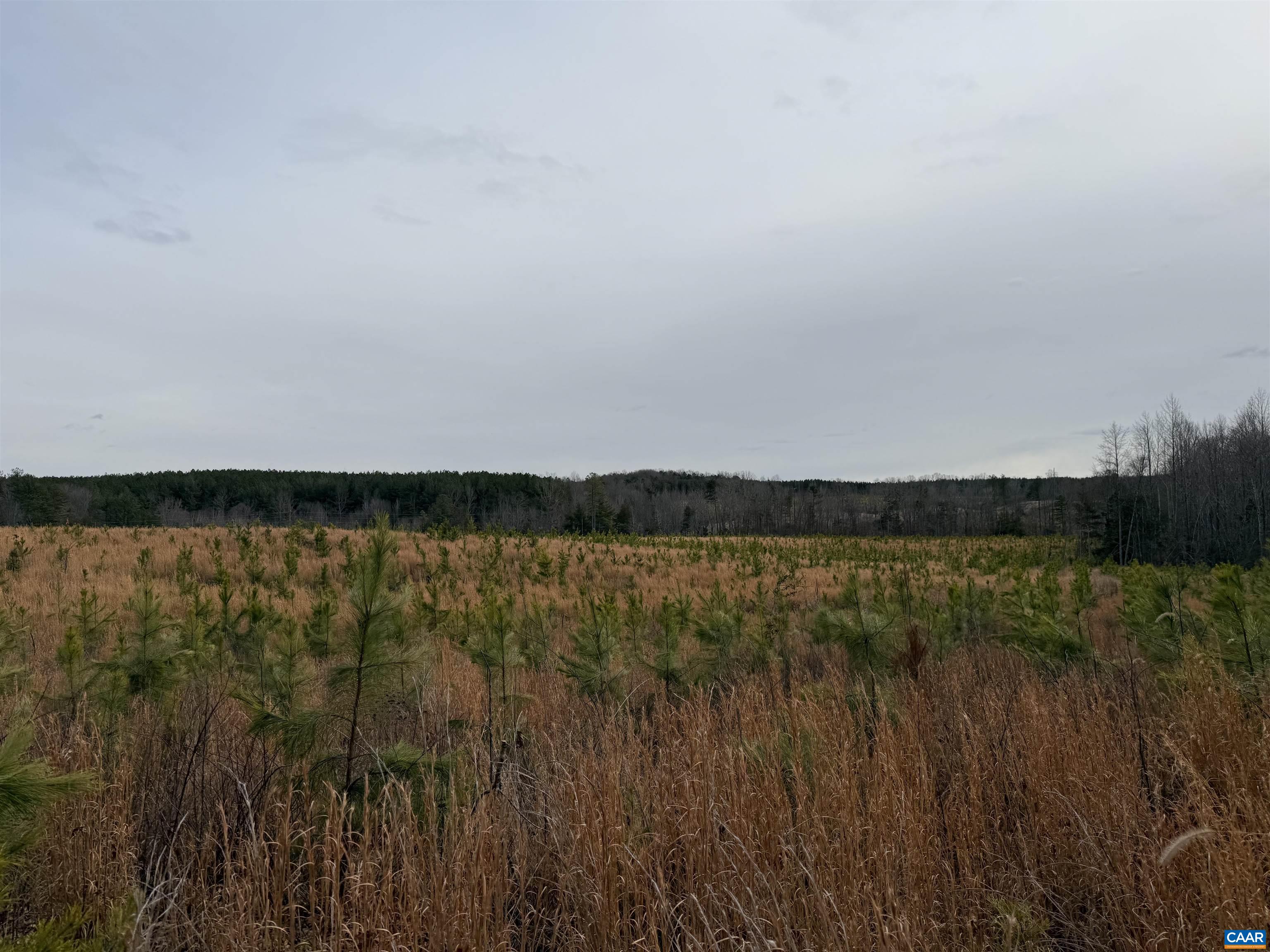 TBD COMMUNITY HOUSE RD, KENTS STORE, Virginia 23084, ,Land,14,TBD COMMUNITY HOUSE RD,678790 MLS # 678790