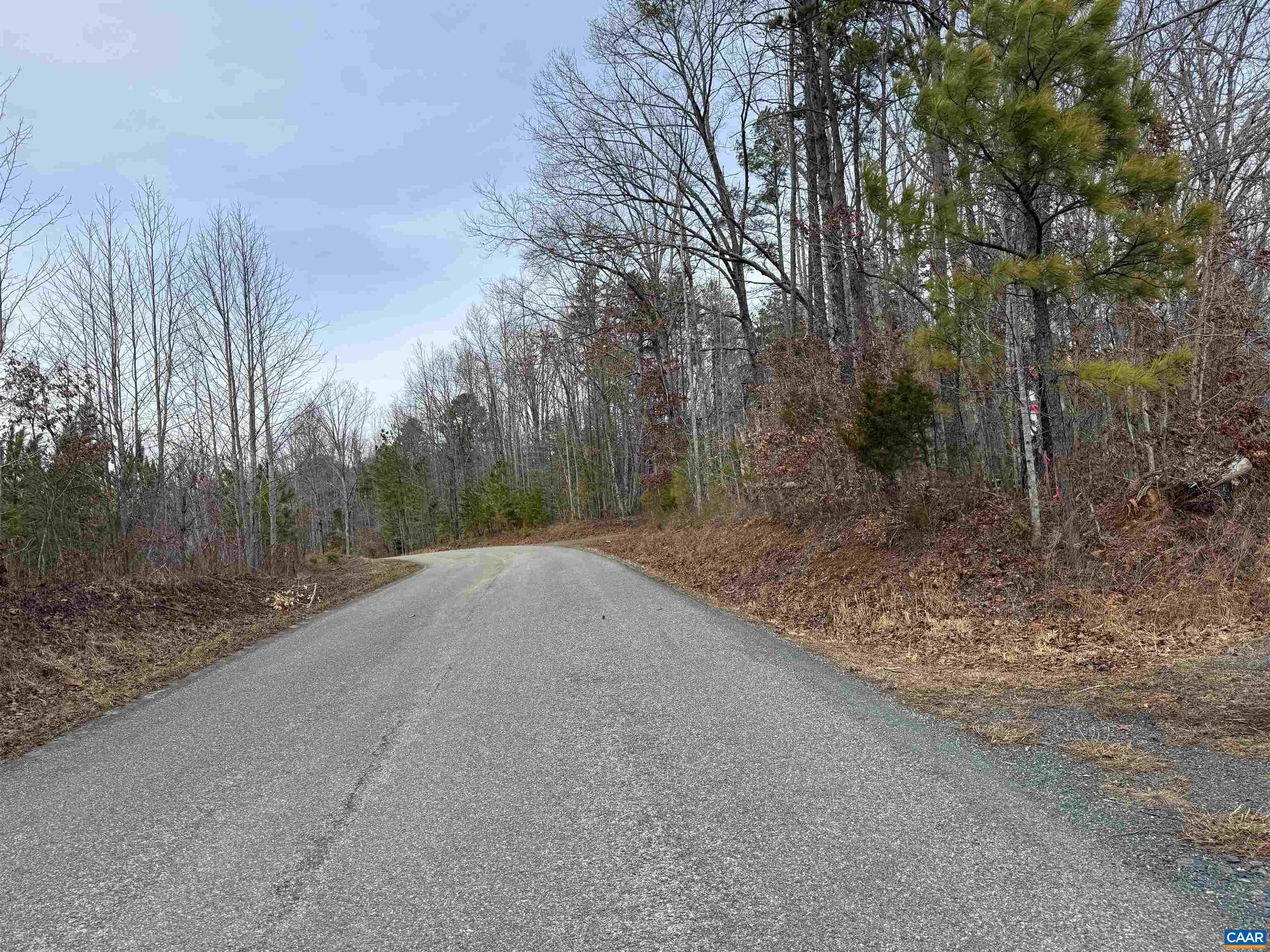 TBD COMMUNITY HOUSE RD, KENTS STORE, Virginia 23084, ,Land,14,TBD COMMUNITY HOUSE RD,678790 MLS # 678790
