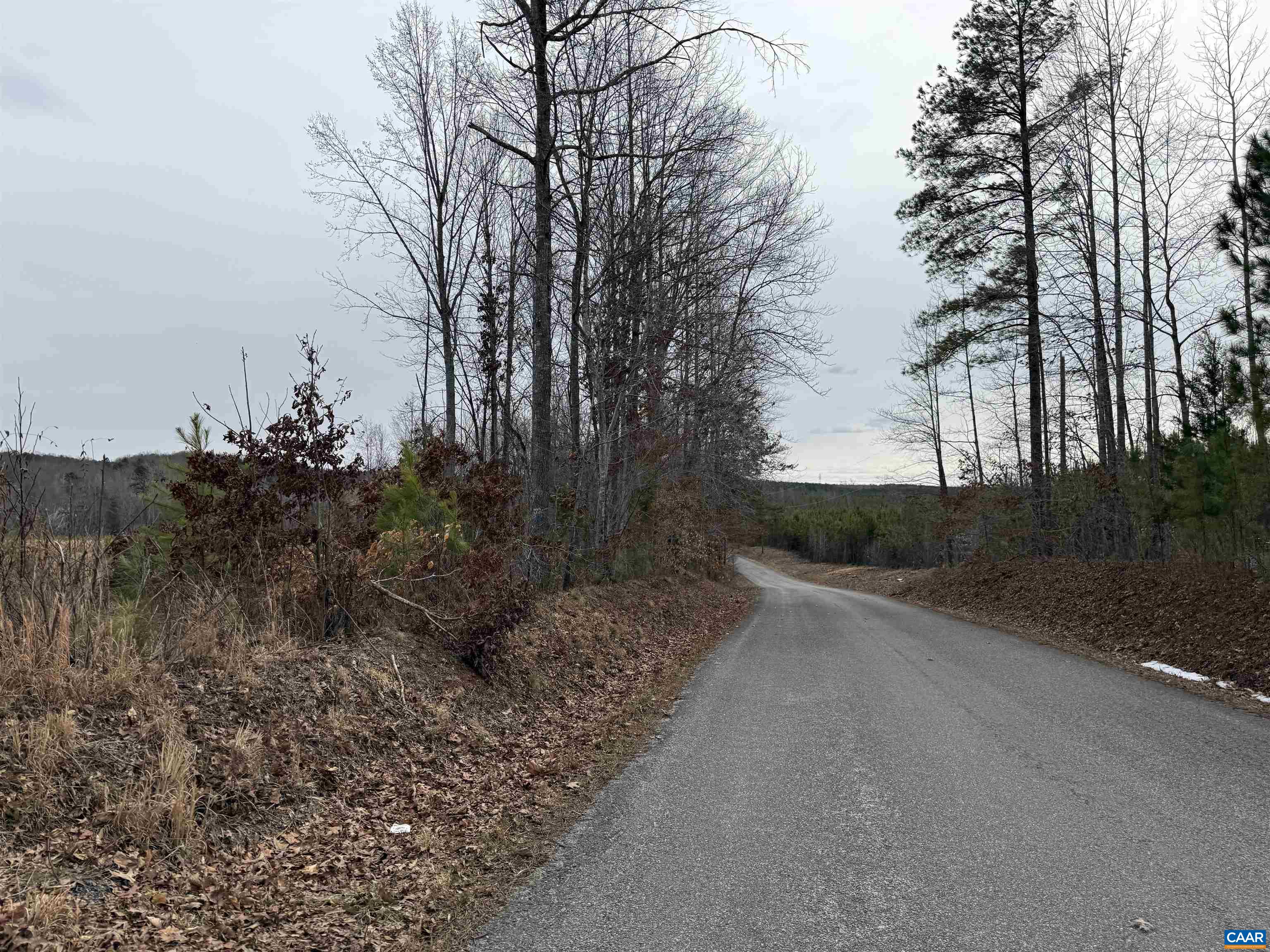 TBD COMMUNITY HOUSE RD, KENTS STORE, Virginia 23084, ,Land,14,TBD COMMUNITY HOUSE RD,678790 MLS # 678790