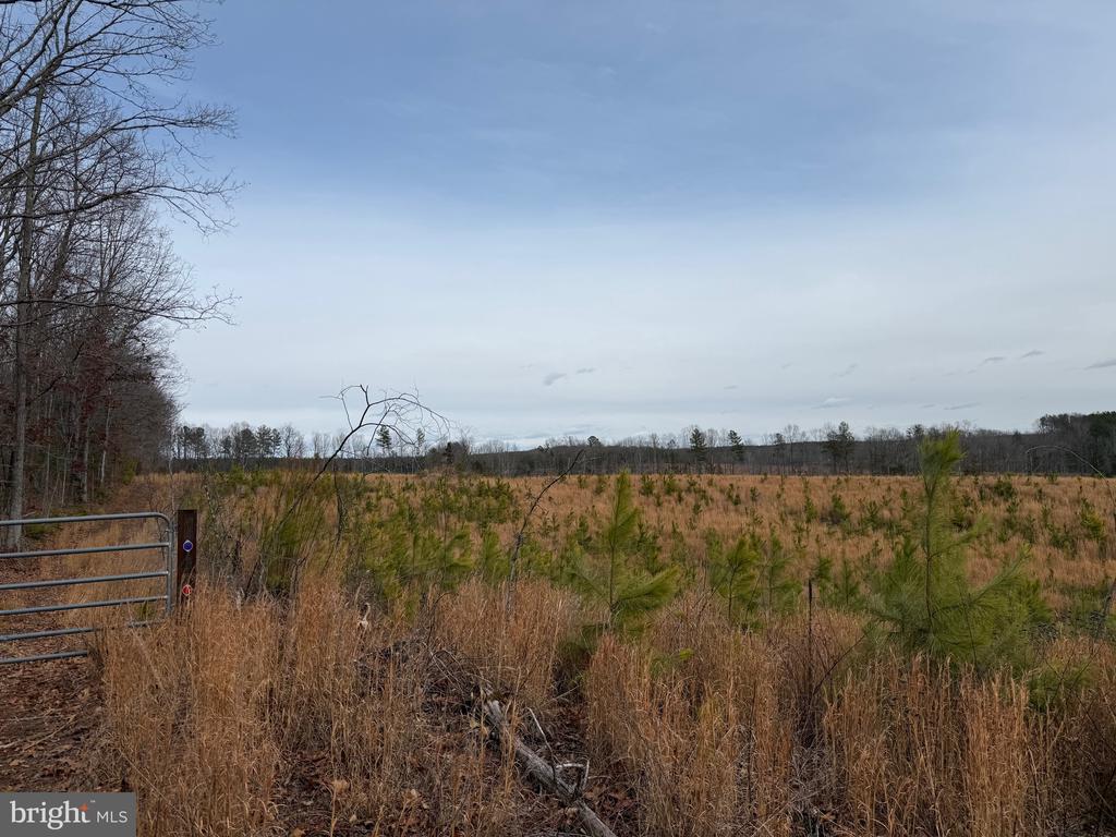 COMMUNITY HOUSE RD, Virginia 23084, ,Land,14,COMMUNITY HOUSE RD,VAFN2000702 MLS # VAFN2000702