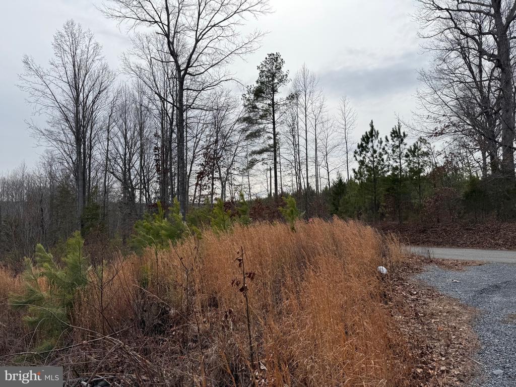 COMMUNITY HOUSE RD, Virginia 23084, ,Land,14,COMMUNITY HOUSE RD,VAFN2000702 MLS # VAFN2000702