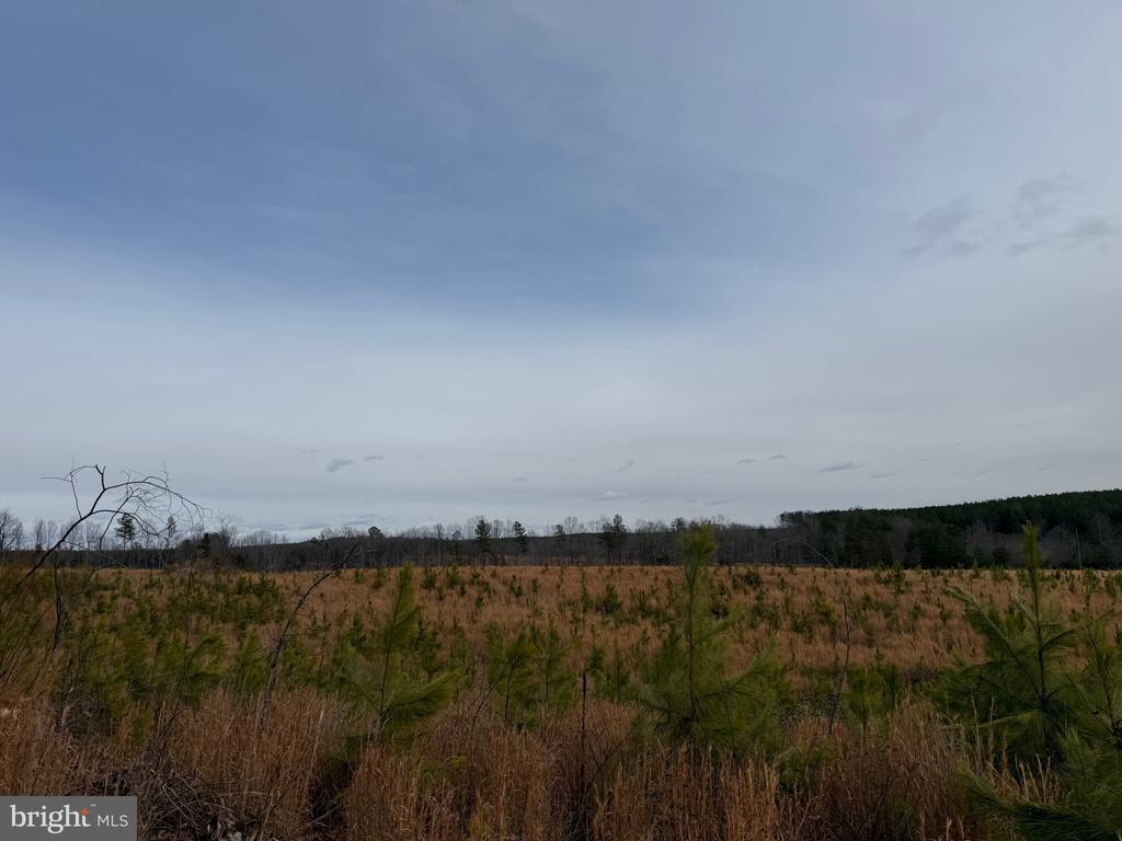 COMMUNITY HOUSE RD, Virginia 23084, ,Land,14,COMMUNITY HOUSE RD,VAFN2000702 MLS # VAFN2000702