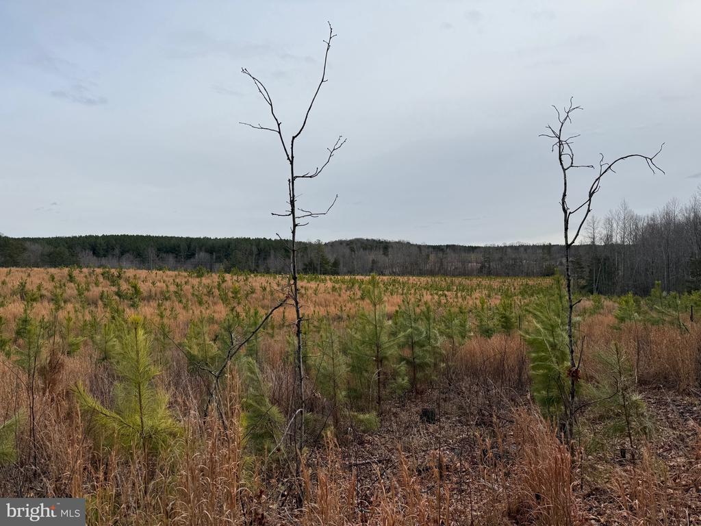 COMMUNITY HOUSE RD, Virginia 23084, ,Land,14,COMMUNITY HOUSE RD,VAFN2000702 MLS # VAFN2000702