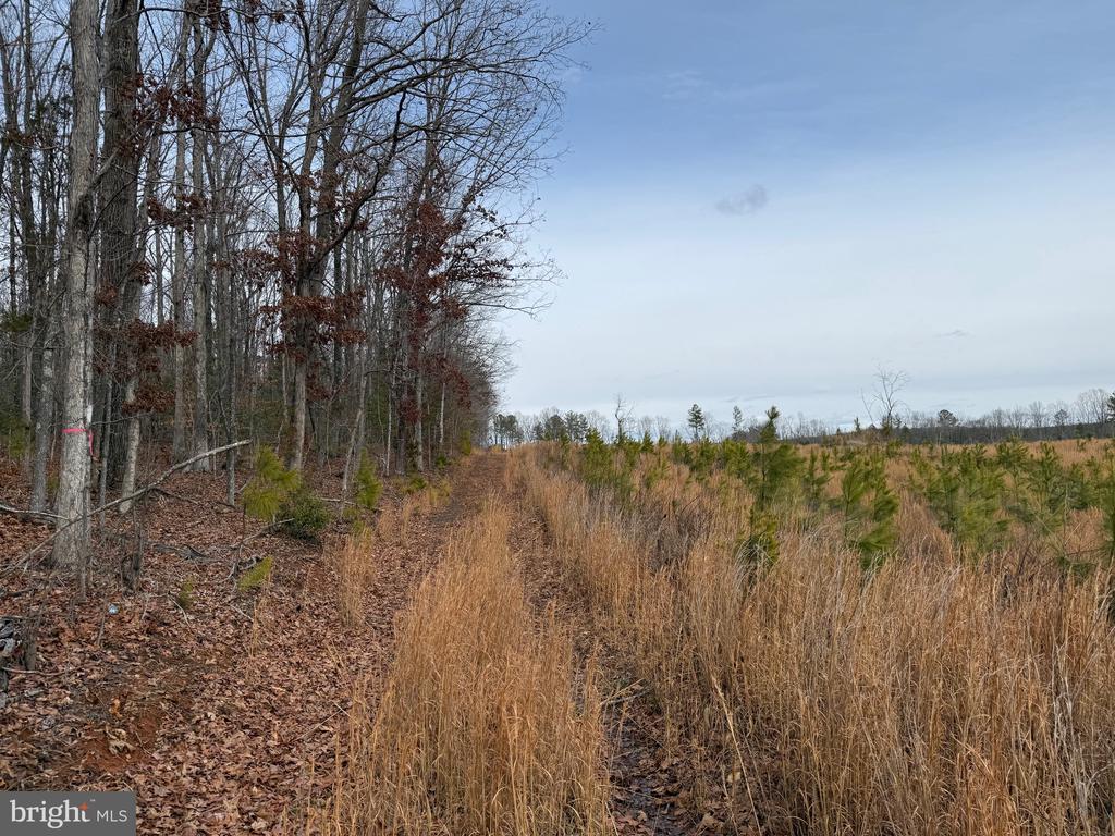 COMMUNITY HOUSE RD, Virginia 23084, ,Land,14,COMMUNITY HOUSE RD,VAFN2000702 MLS # VAFN2000702