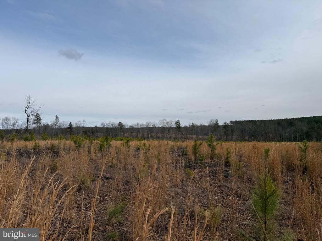 COMMUNITY HOUSE RD, Virginia 23084, ,Land,14,COMMUNITY HOUSE RD,VAFN2000702 MLS # VAFN2000702