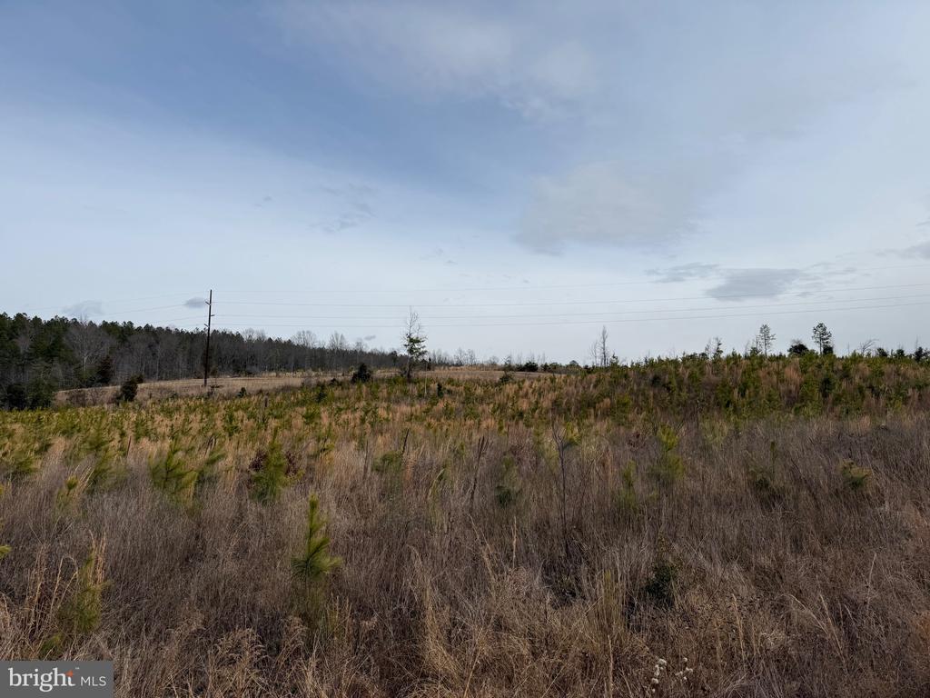 COMMUNITY HOUSE RD, Virginia 23084, ,Land,14,COMMUNITY HOUSE RD,VAFN2000702 MLS # VAFN2000702