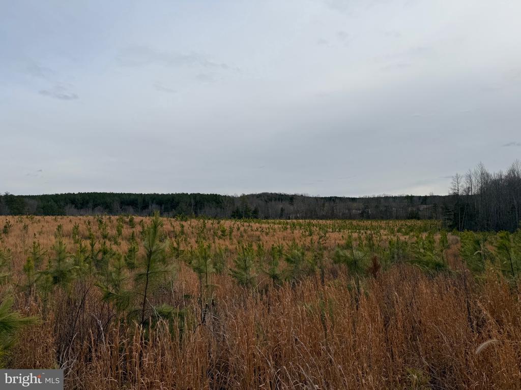 COMMUNITY HOUSE RD, Virginia 23084, ,Land,14,COMMUNITY HOUSE RD,VAFN2000702 MLS # VAFN2000702
