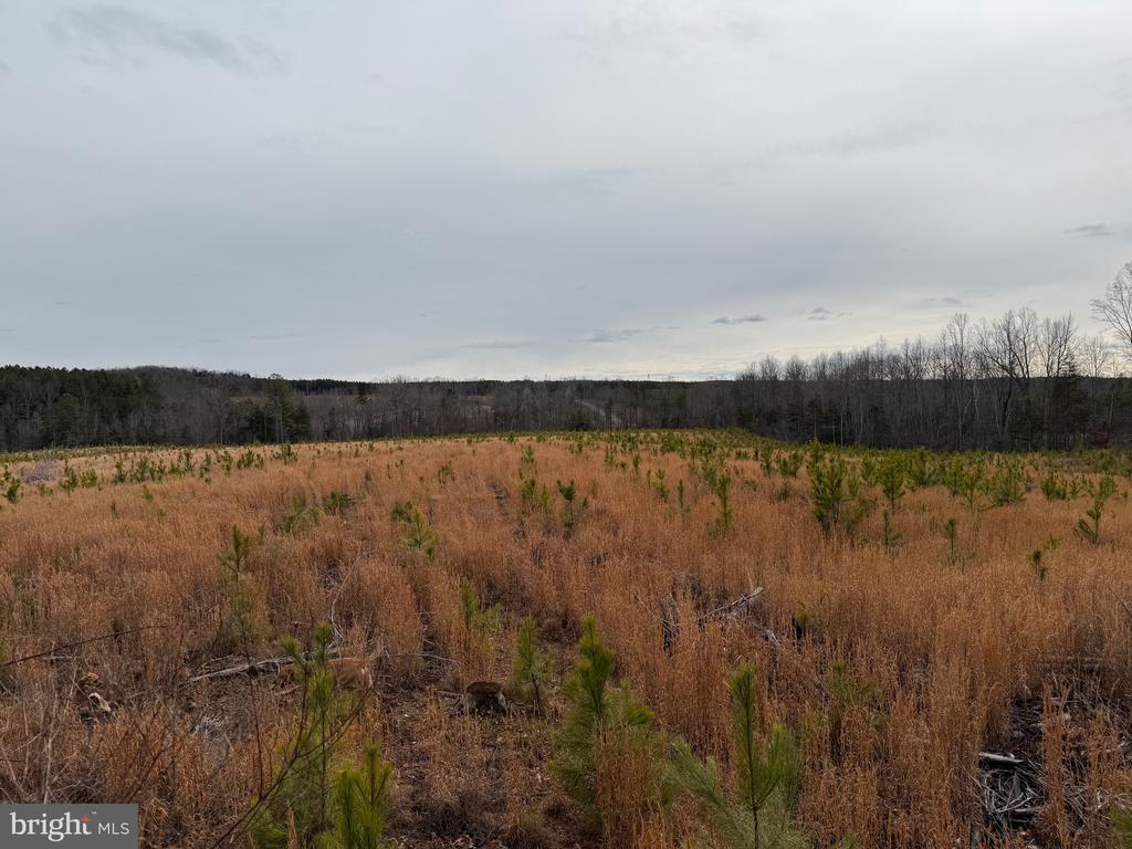 COMMUNITY HOUSE RD, Virginia 23084, ,Land,14,COMMUNITY HOUSE RD,VAFN2000702 MLS # VAFN2000702