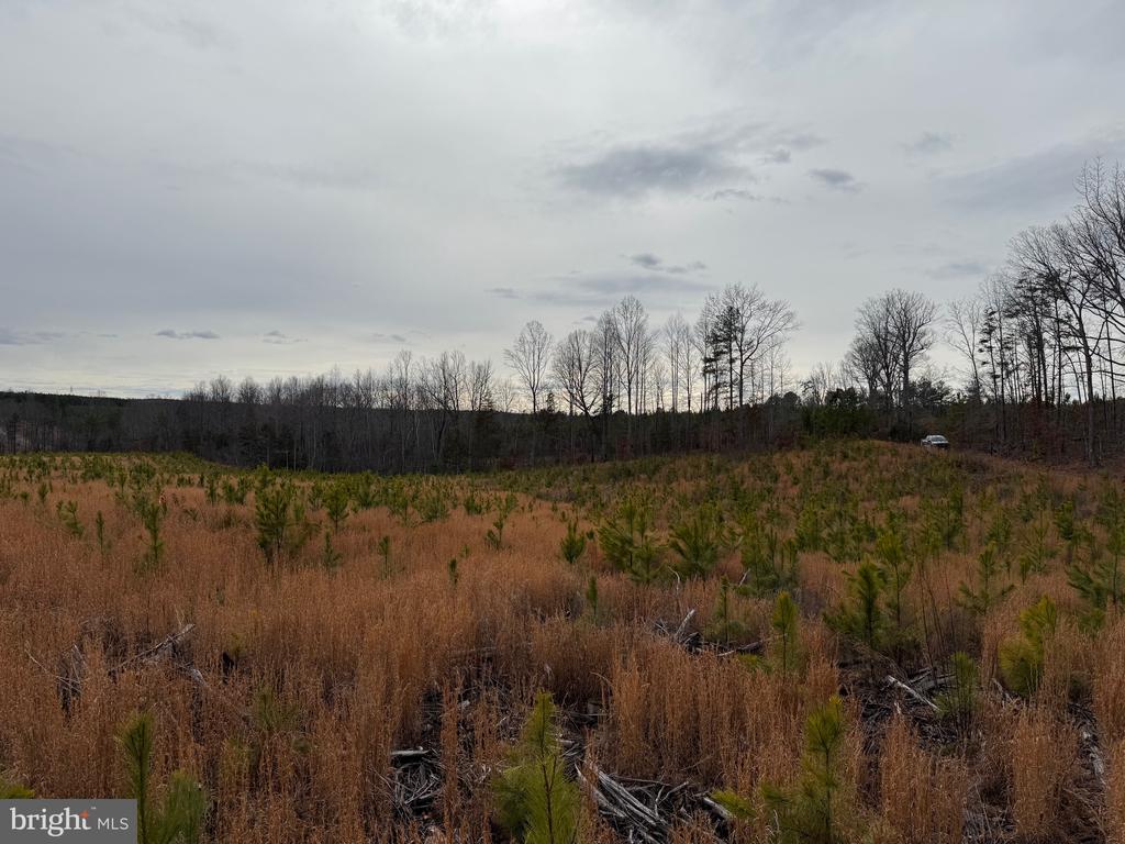 COMMUNITY HOUSE RD, Virginia 23084, ,Land,14,COMMUNITY HOUSE RD,VAFN2000702 MLS # VAFN2000702