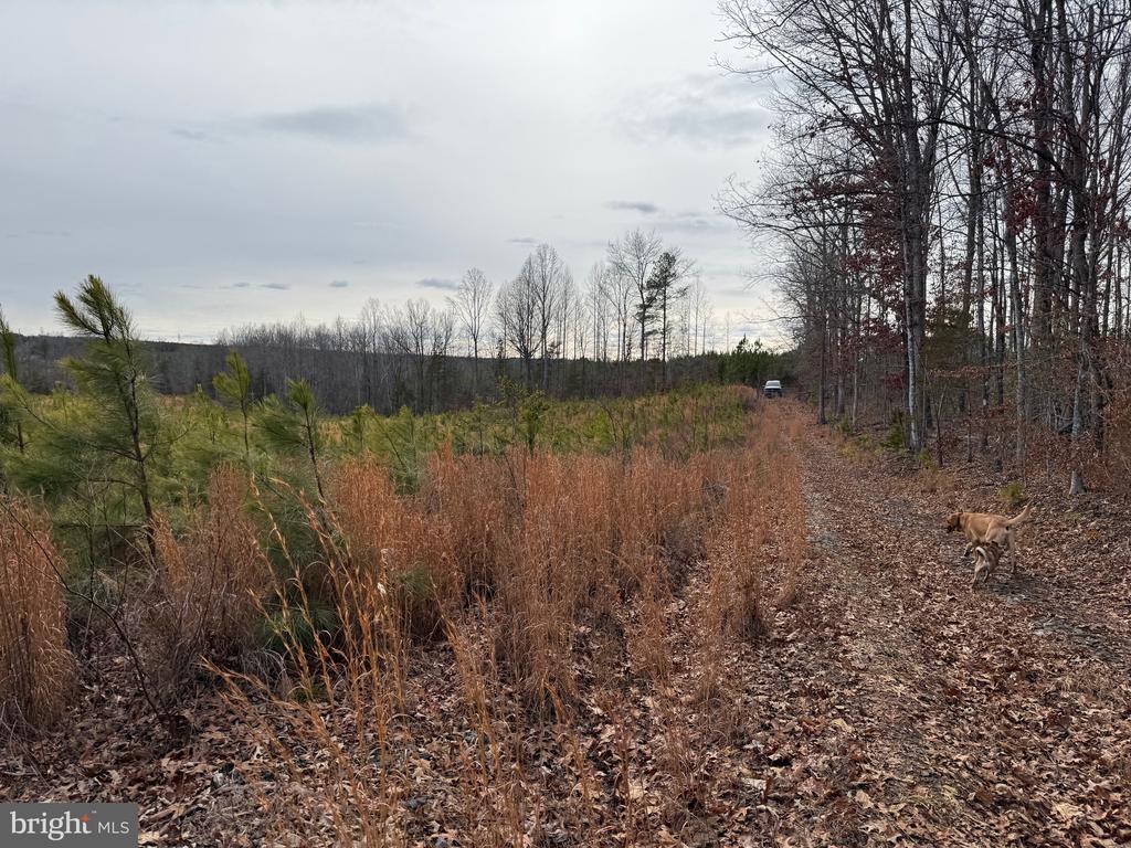 COMMUNITY HOUSE RD, Virginia 23084, ,Land,14,COMMUNITY HOUSE RD,VAFN2000702 MLS # VAFN2000702